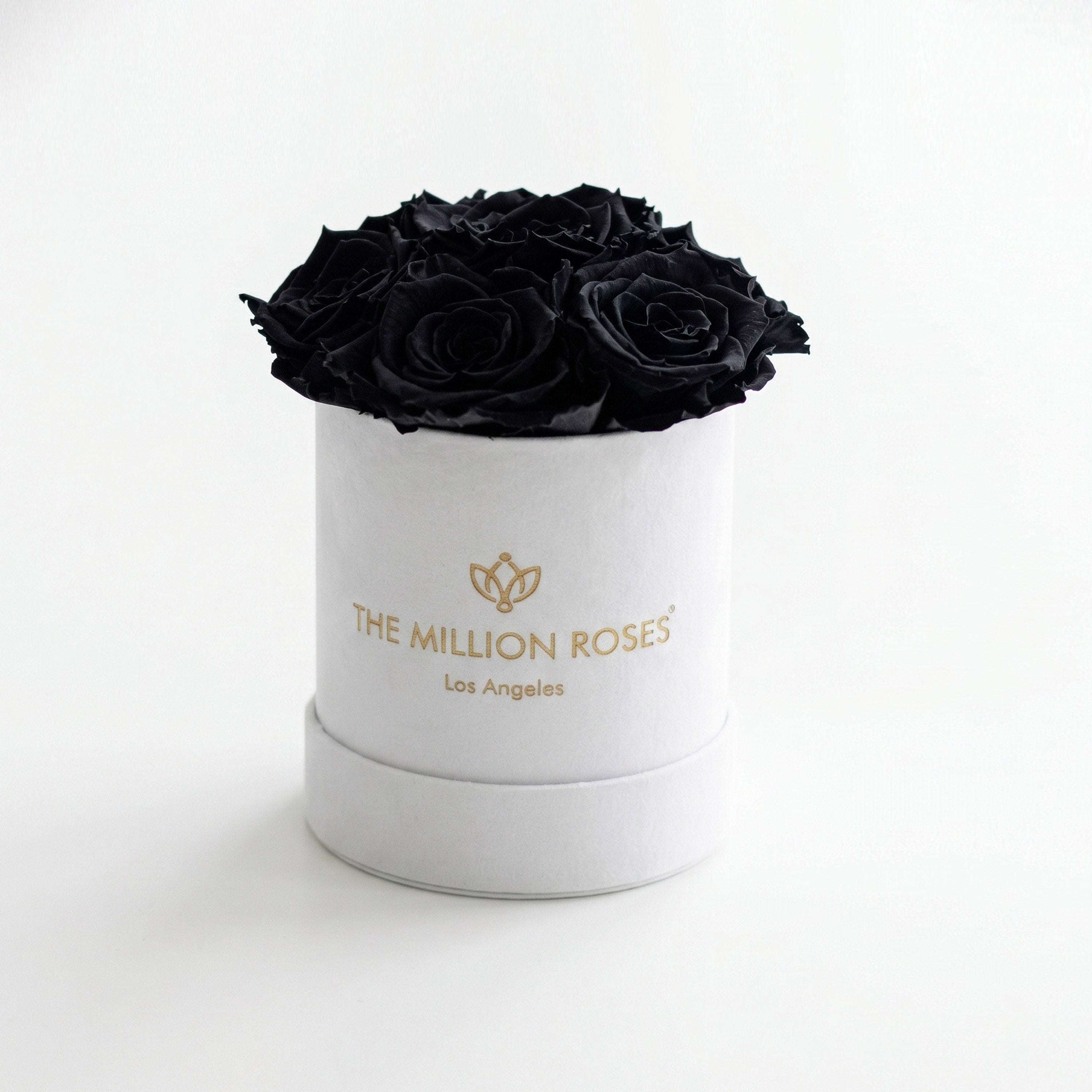Boîte blanche de base | Roses noires