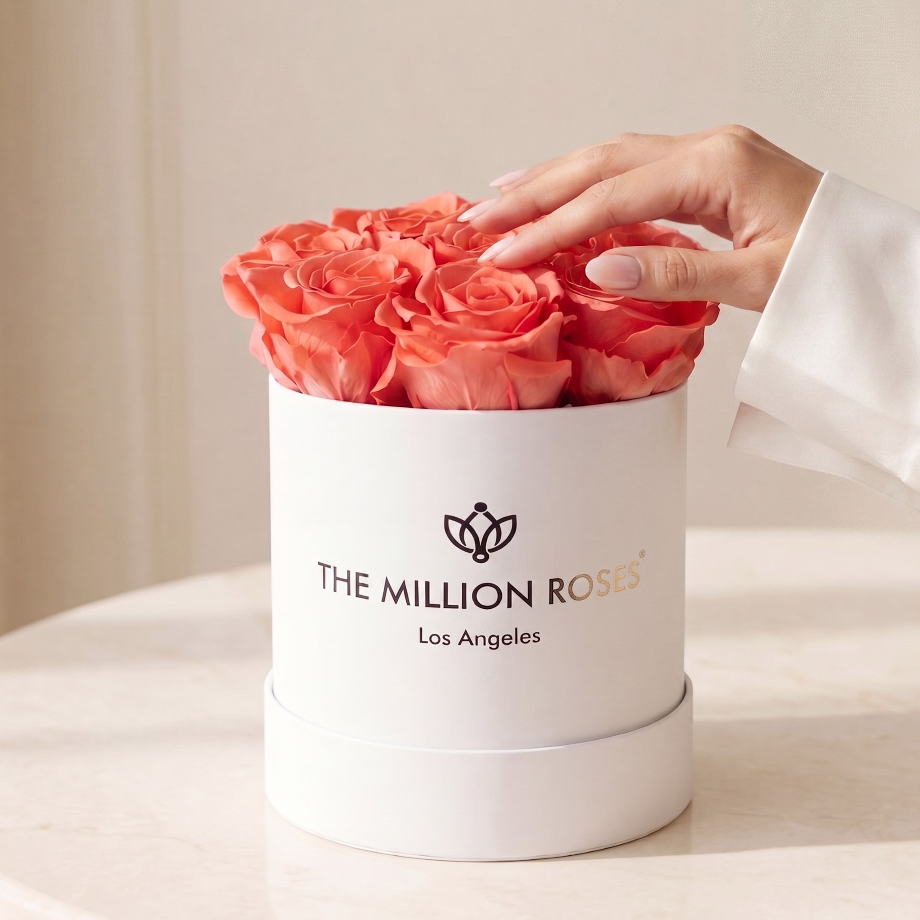 Basic White Box | Coral Roses