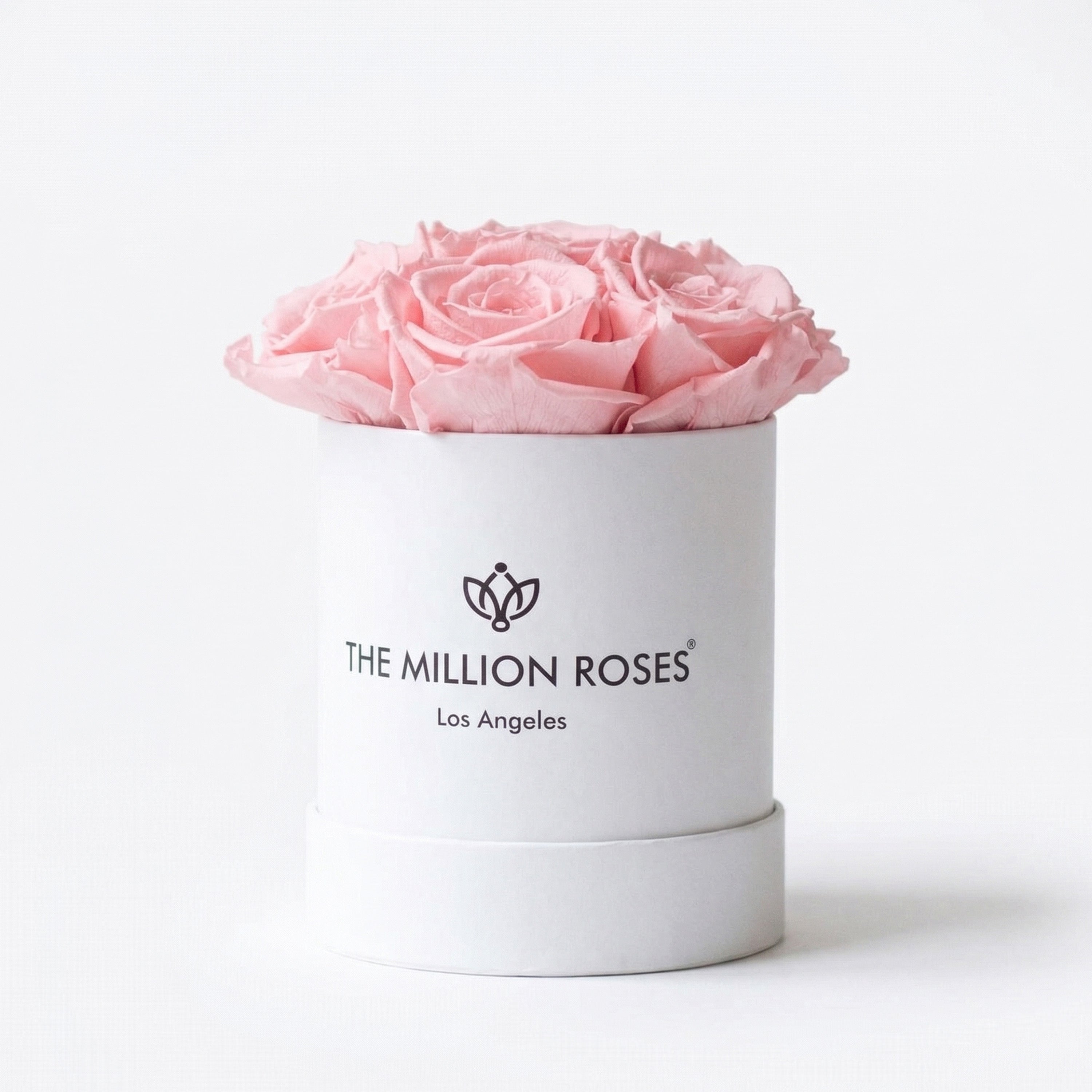 Basic White Box | Light Pink Roses
