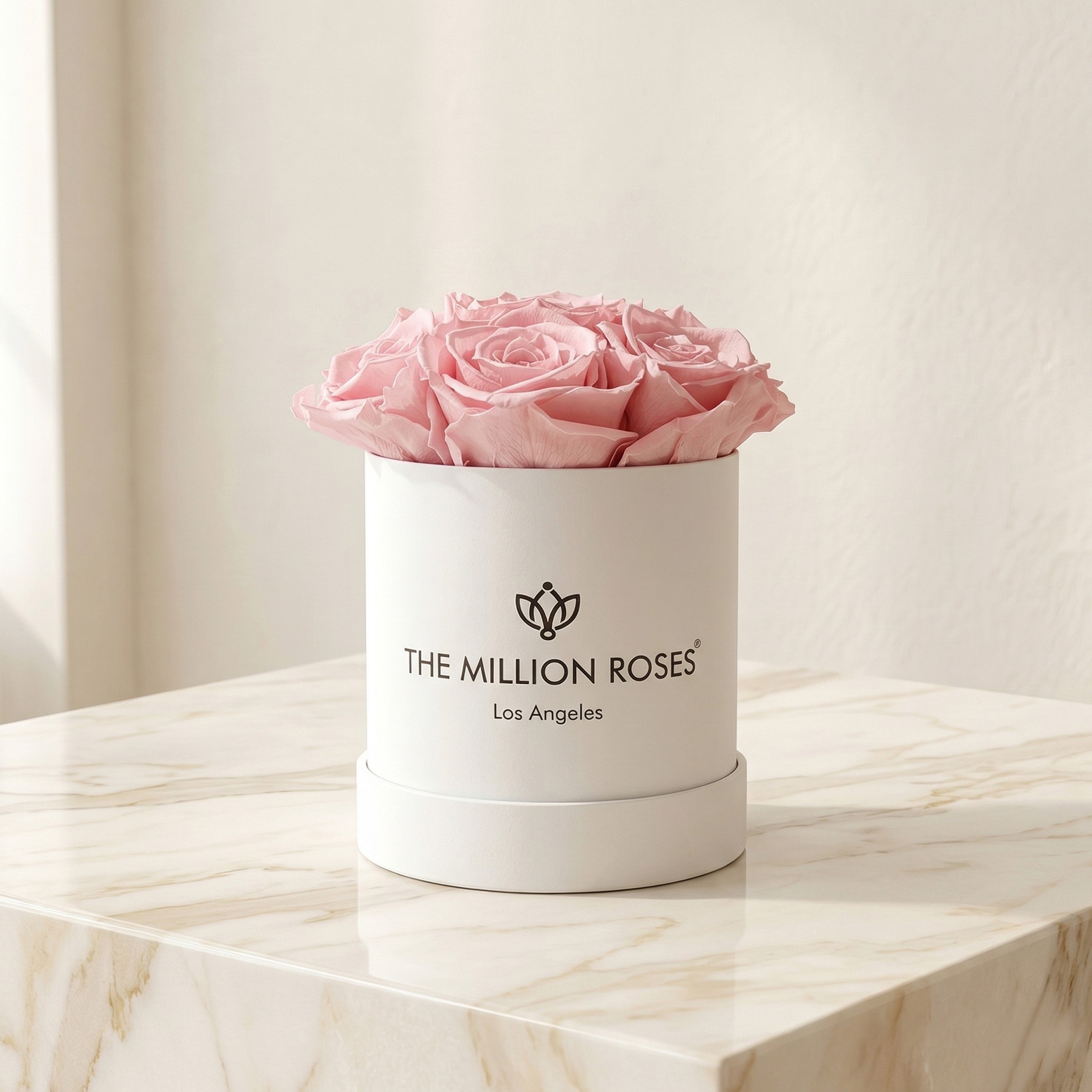Basic White Box | Light Pink Roses