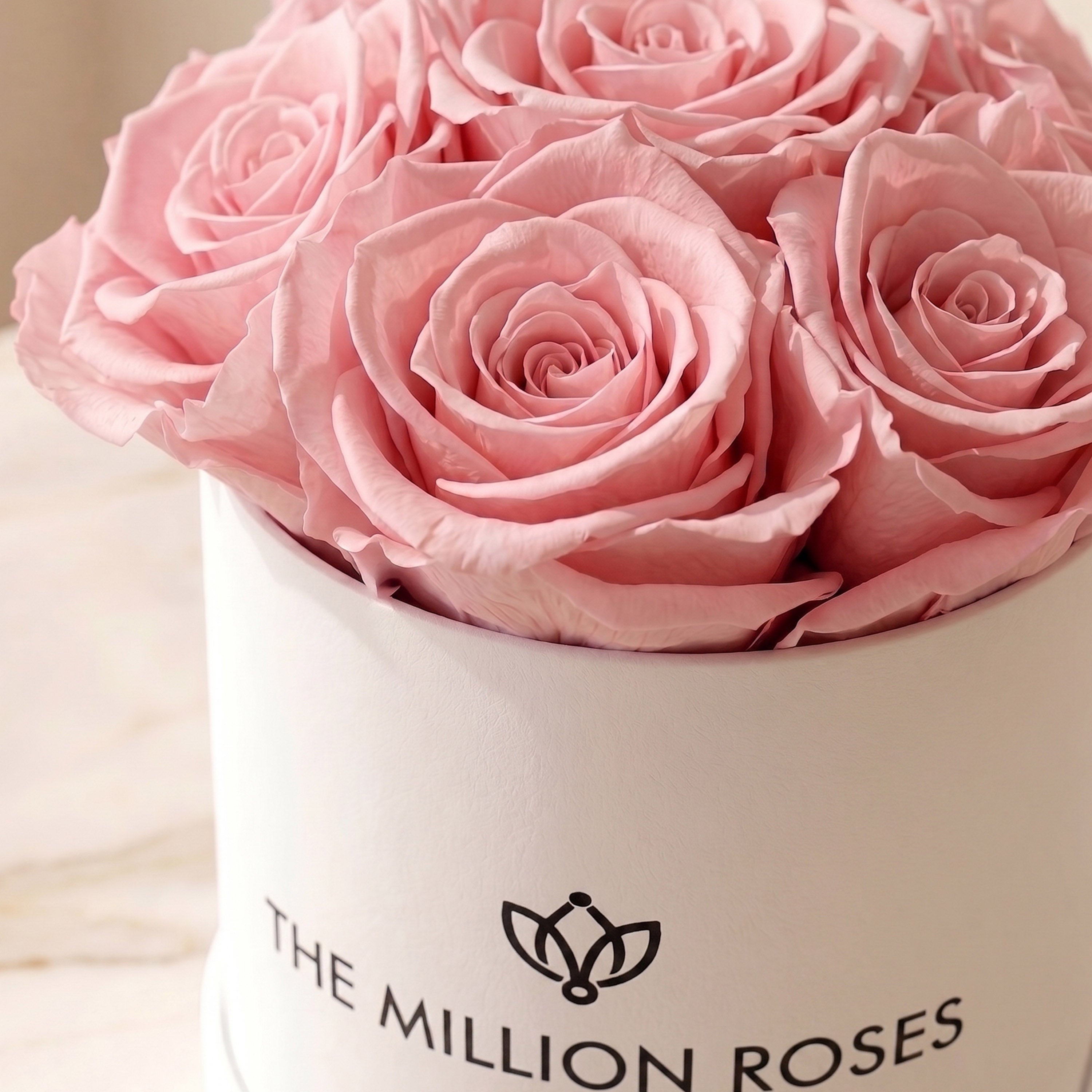 Basic White Box | Light Pink Roses