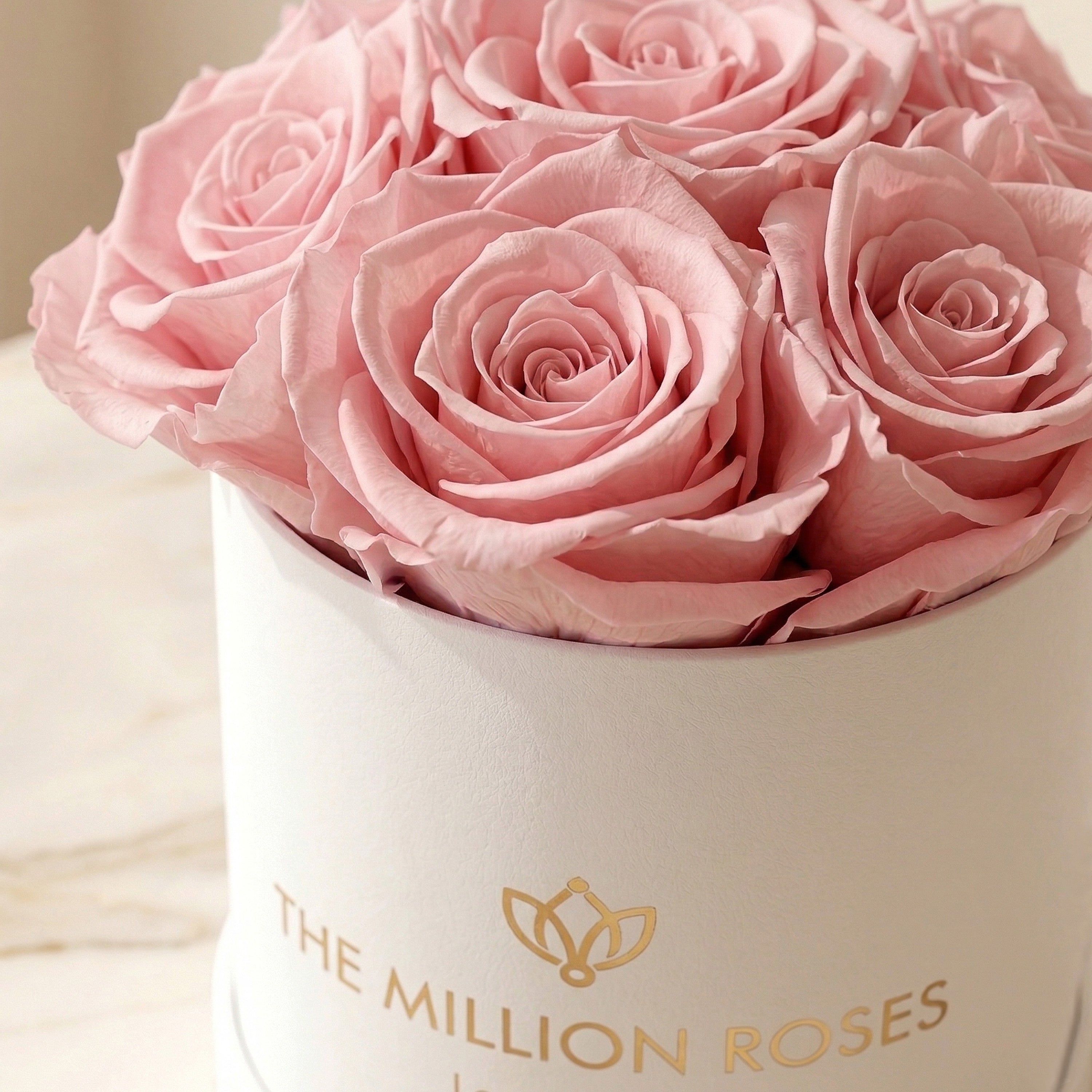 Basic White Box | Light Pink Roses