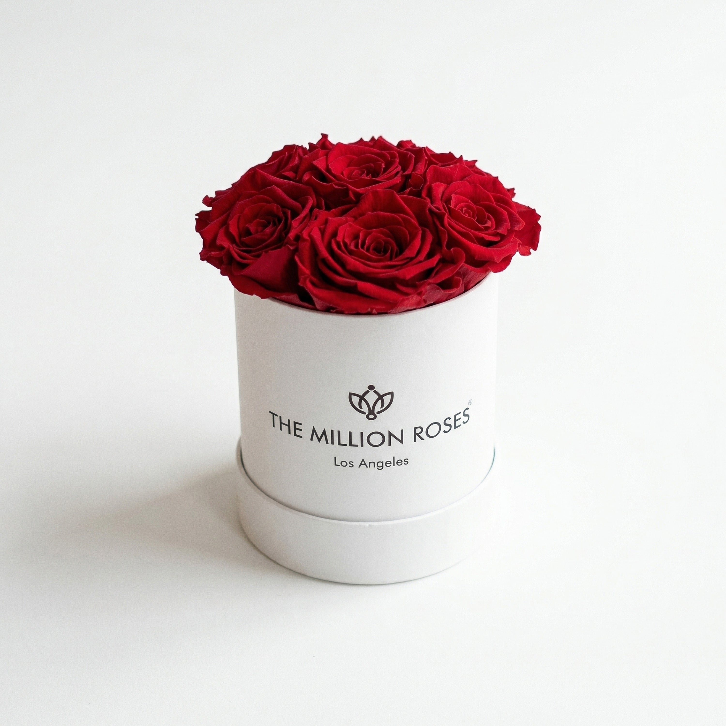 Basic White Box | Red Roses
