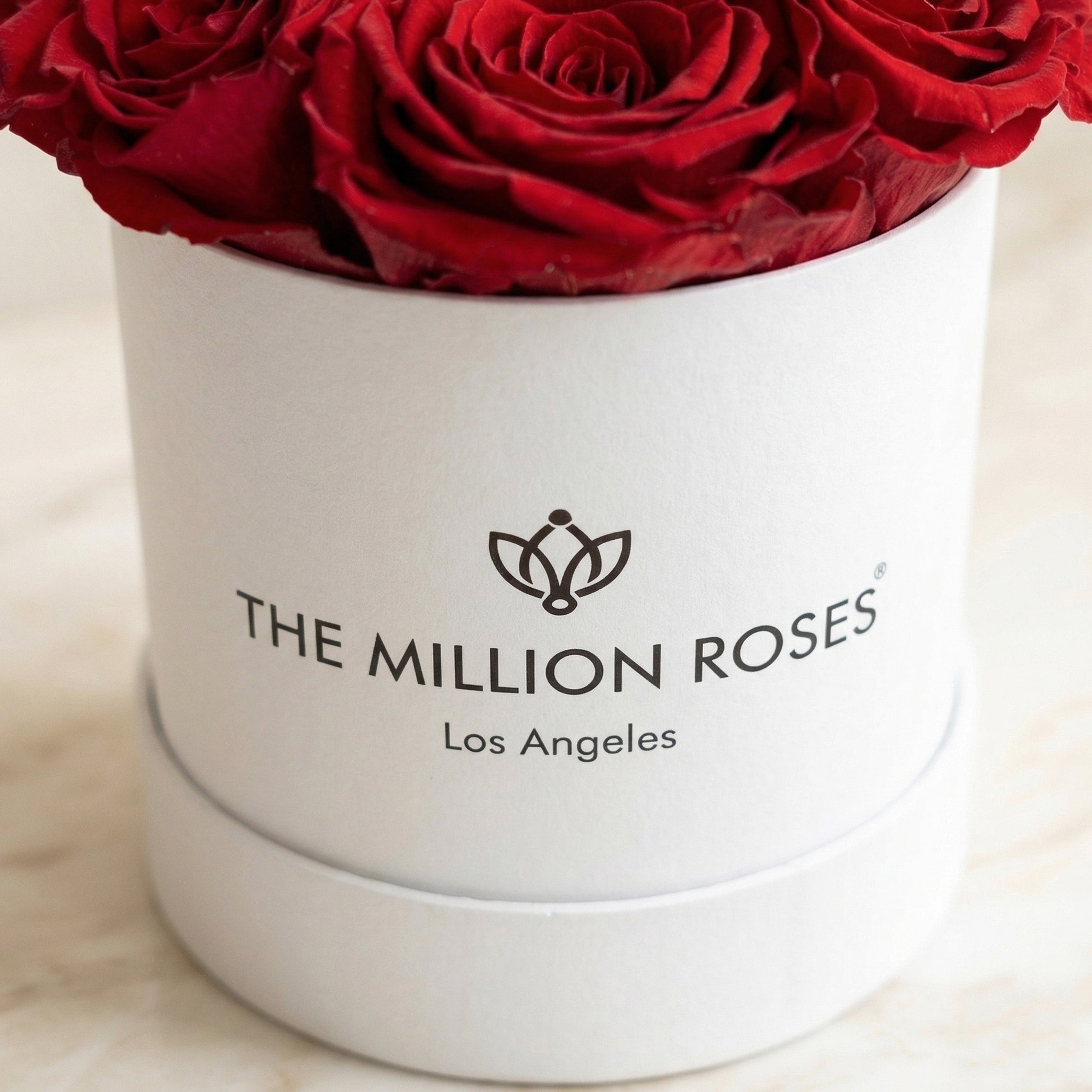 Základná biela skrinka | Červené ruže