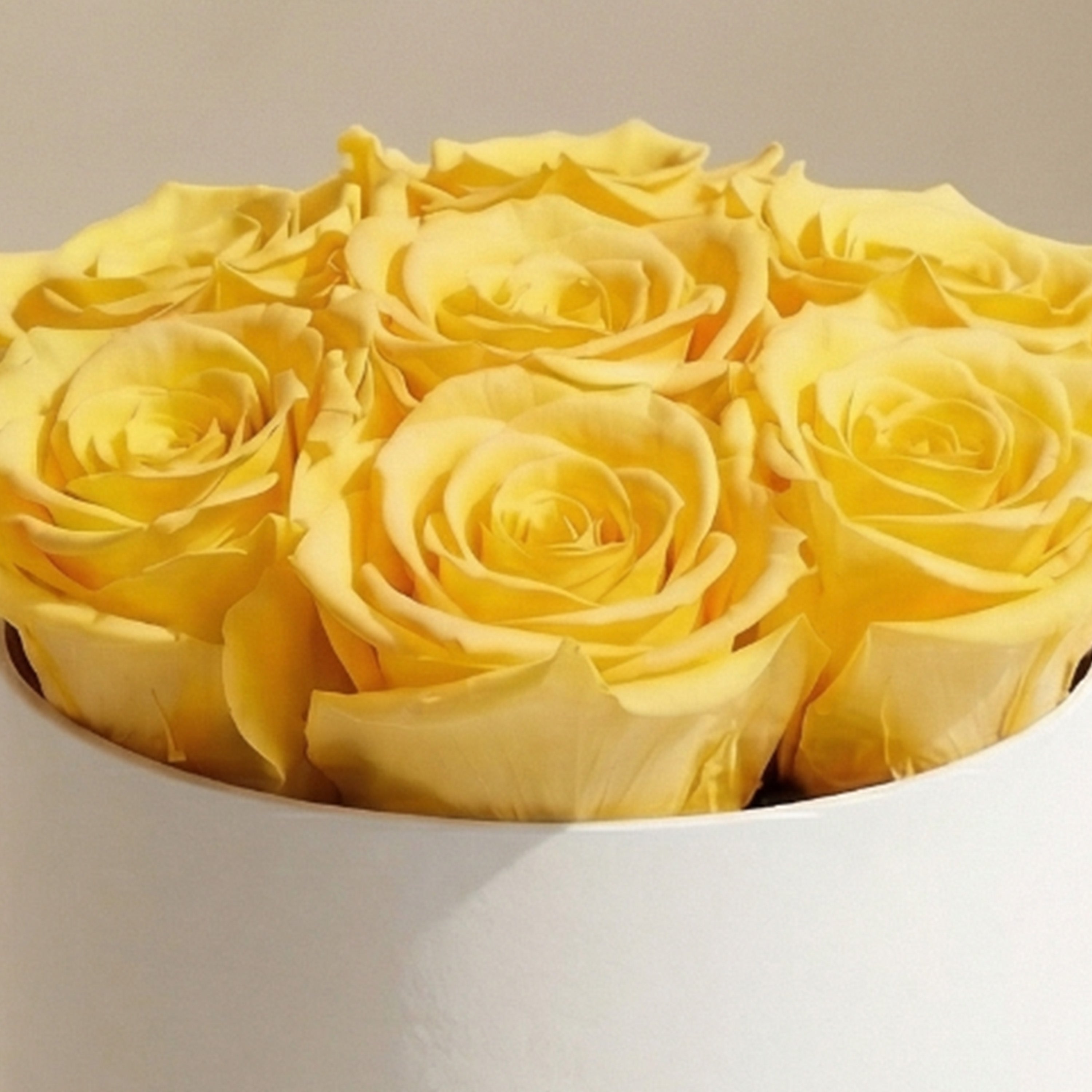Basic White Box | Yellow Roses