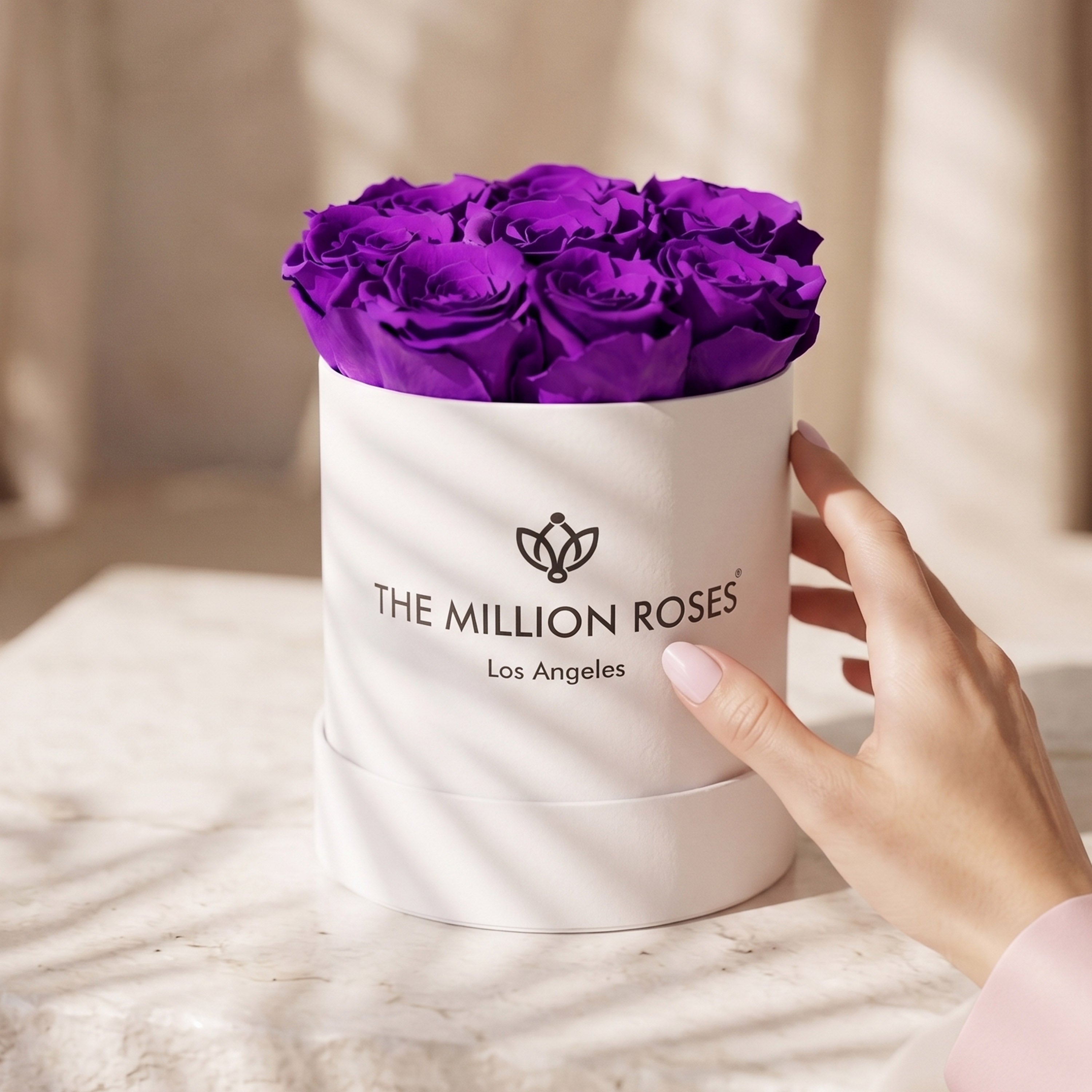 Basic White Box | Bright Purple Roses