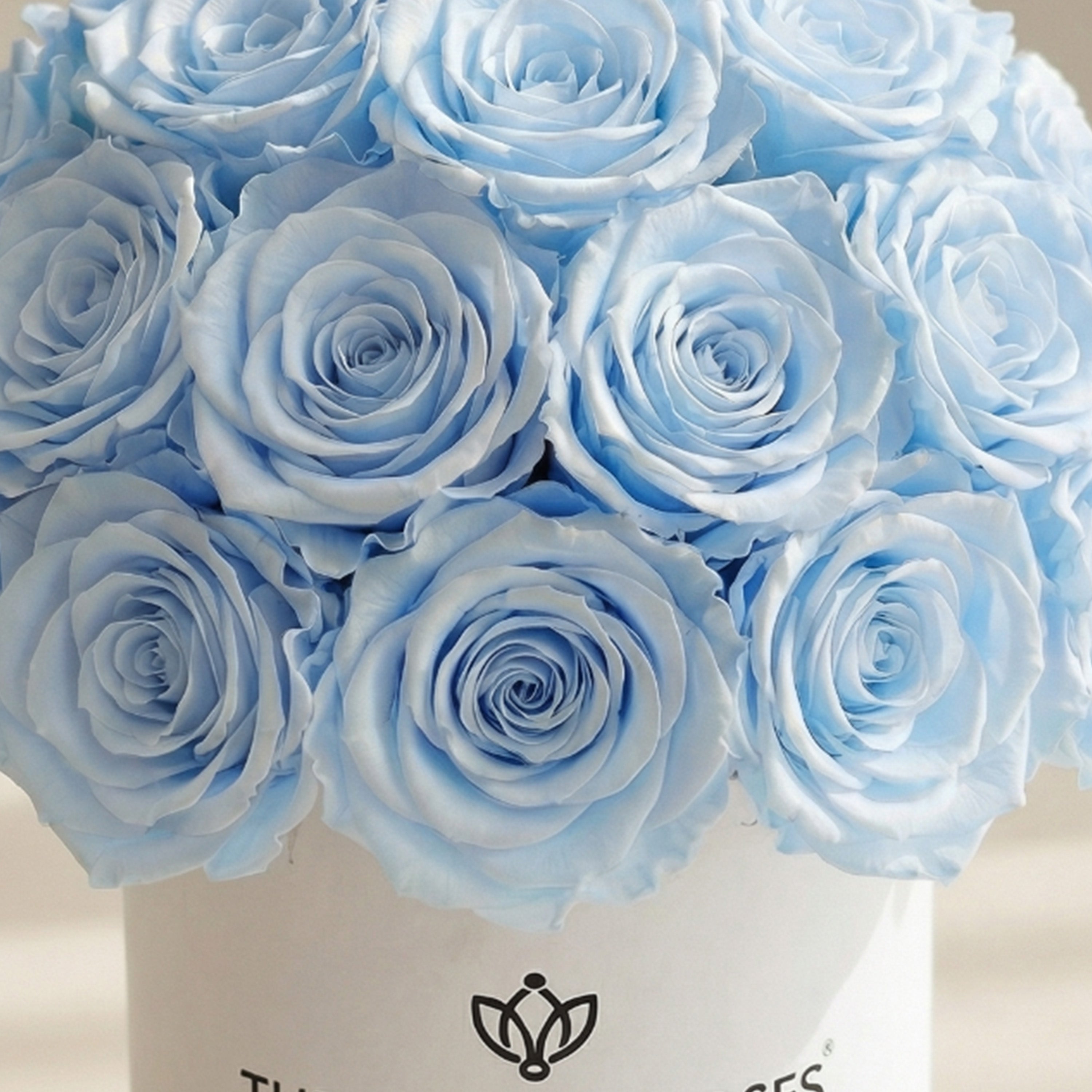 Essence White Superdome Box | Light Blue Roses