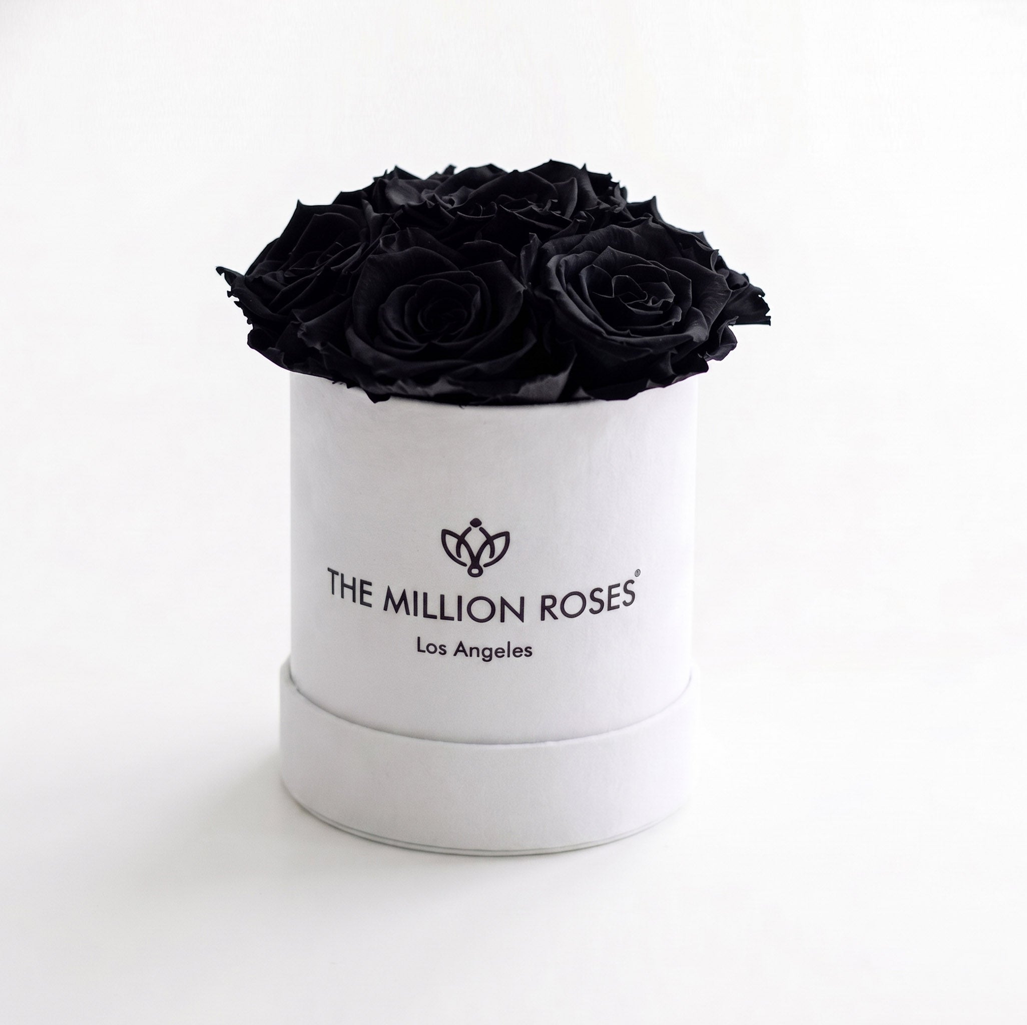 Basic White Box | Black Roses