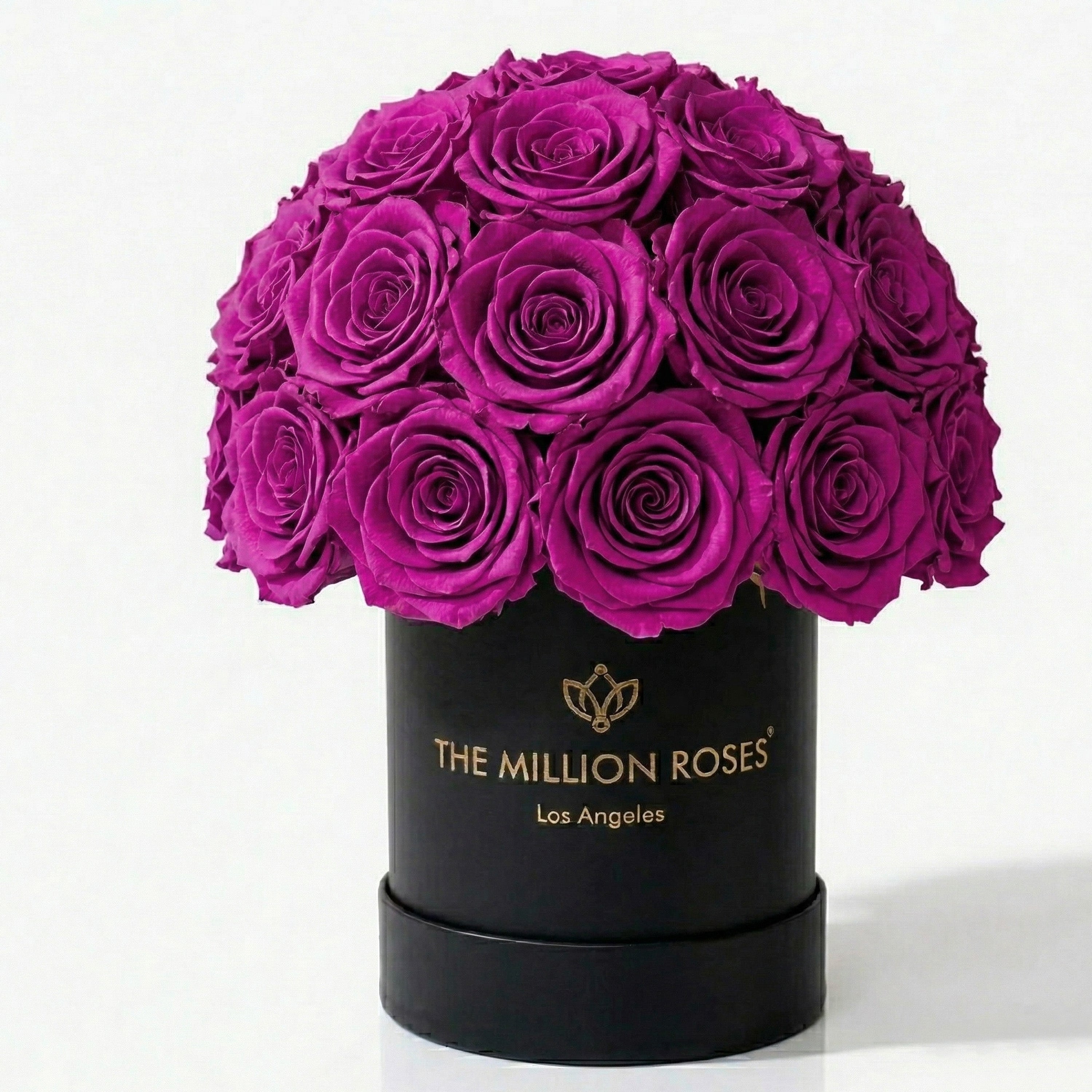 Essence Black Superdome Box | Bright Purple Roses