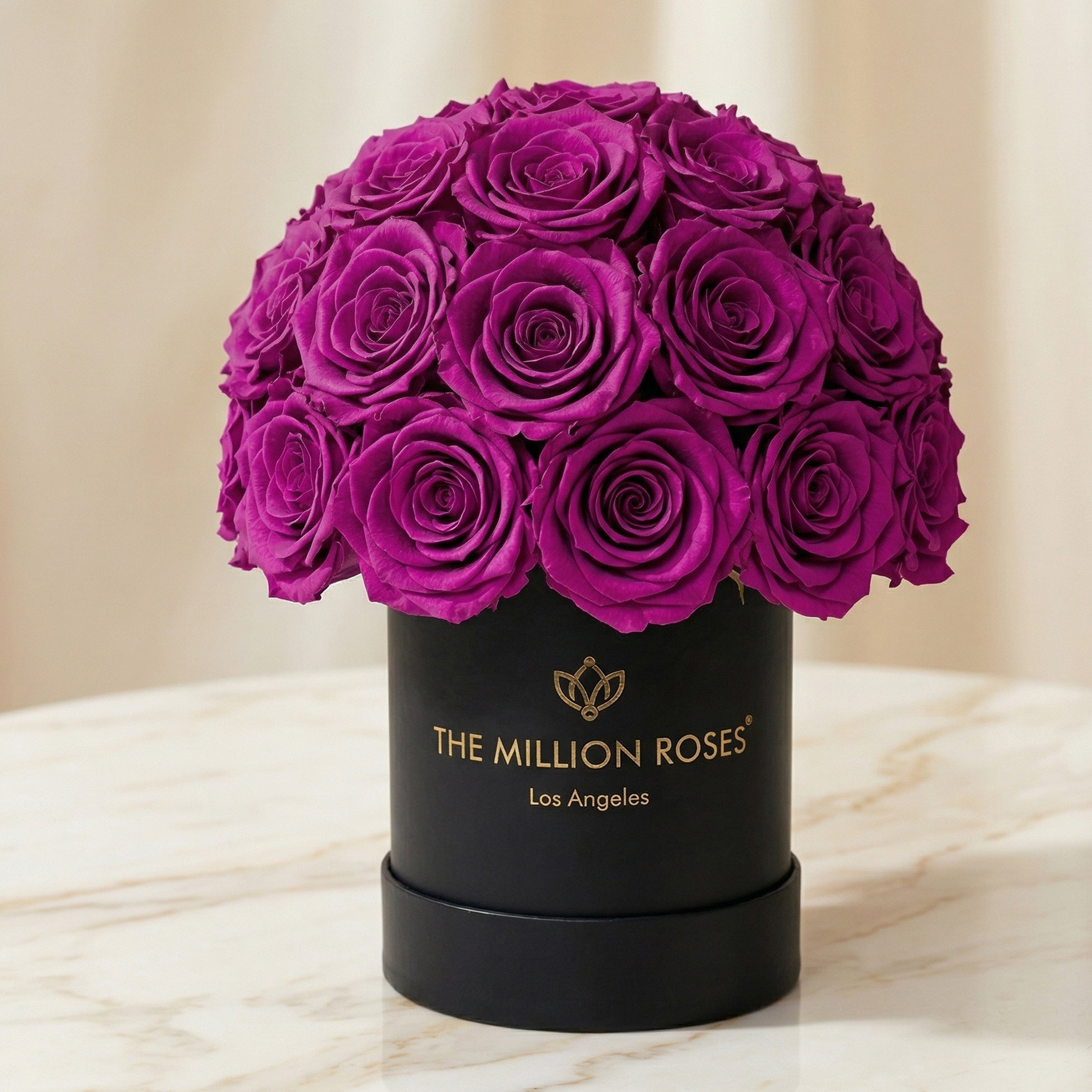 Essence Black Superdome Box | Bright Purple Roses