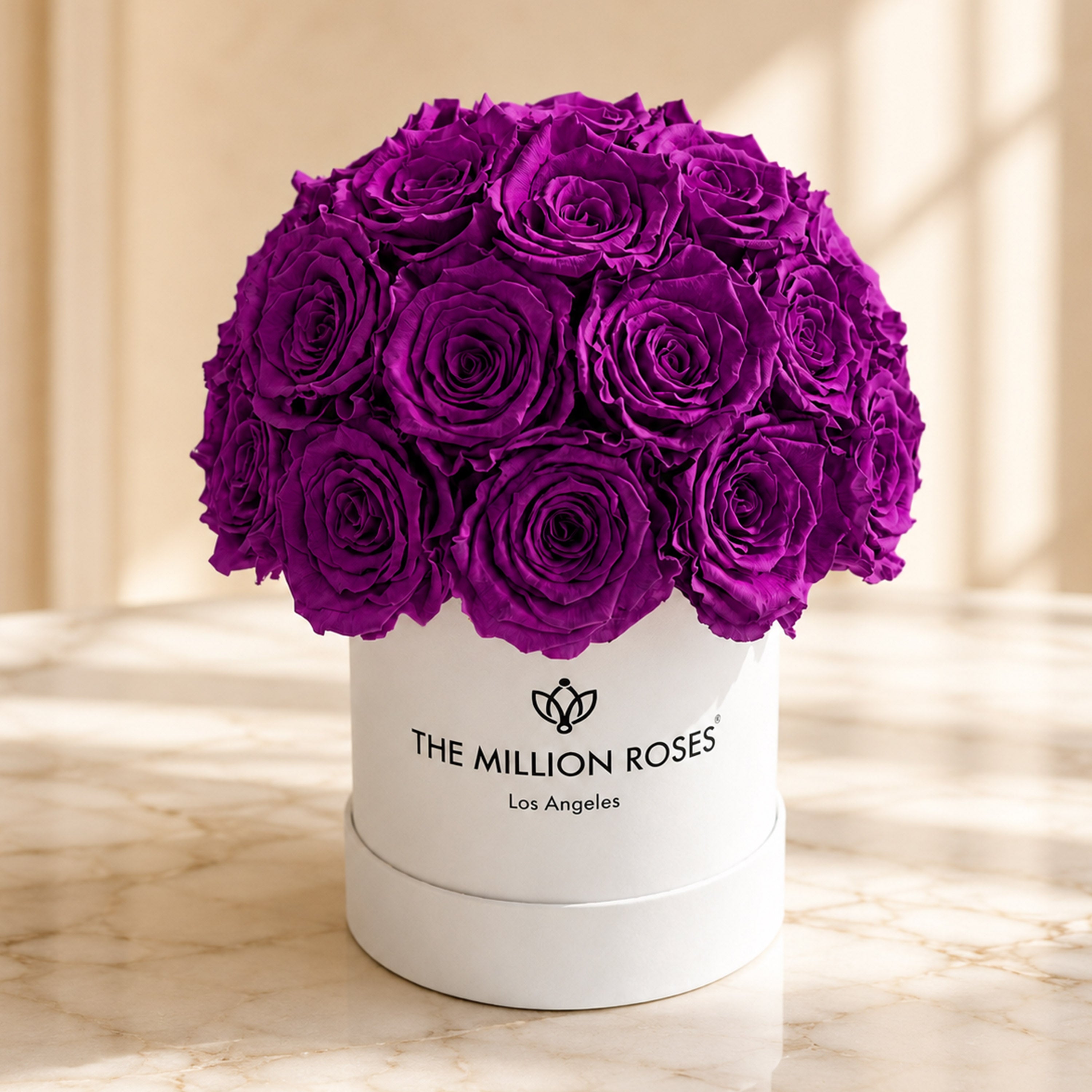 Essence White Superdome Box | Bright Purple Roses
