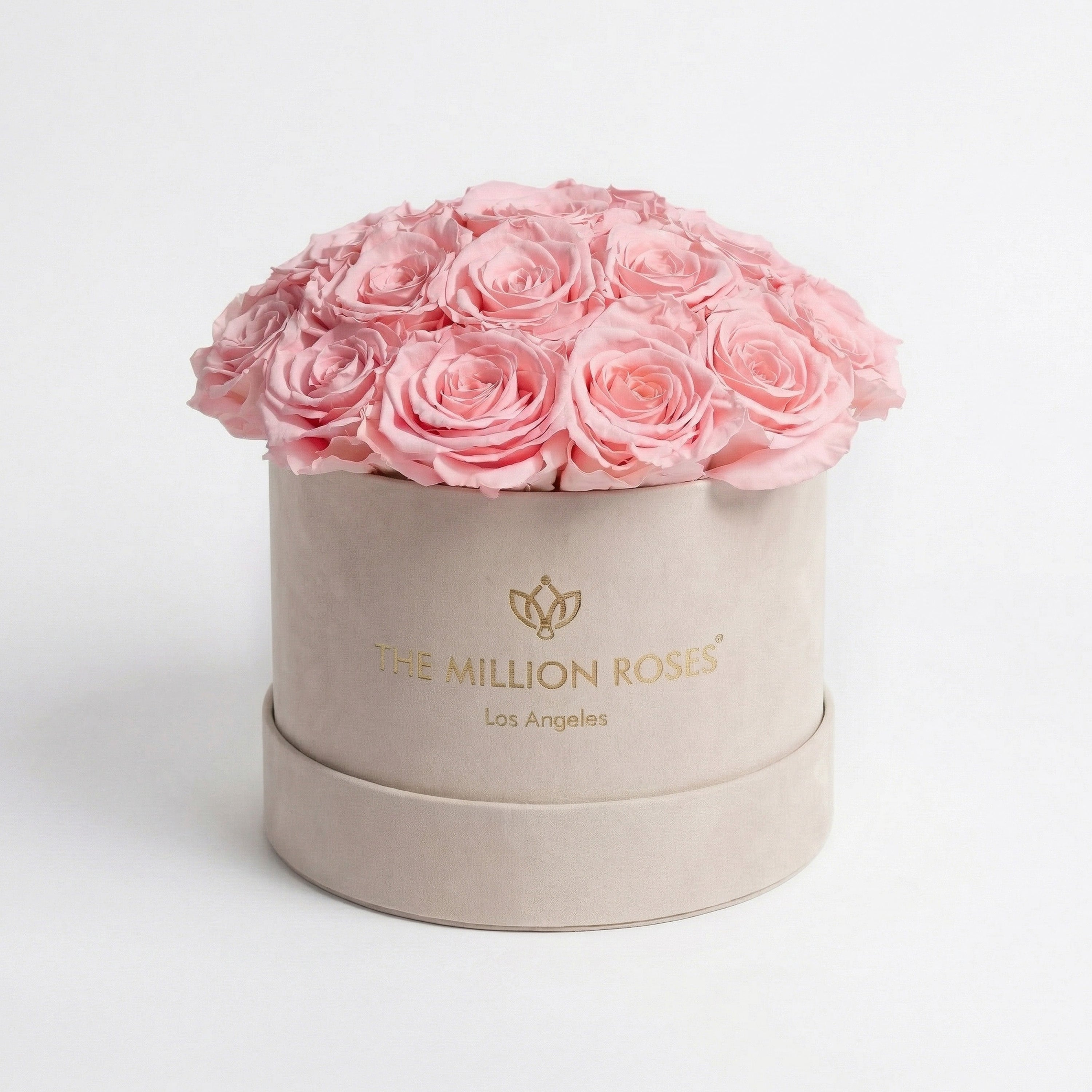 Scatola classica a cupola in pelle scamosciata beige | Rose rosa chiaro