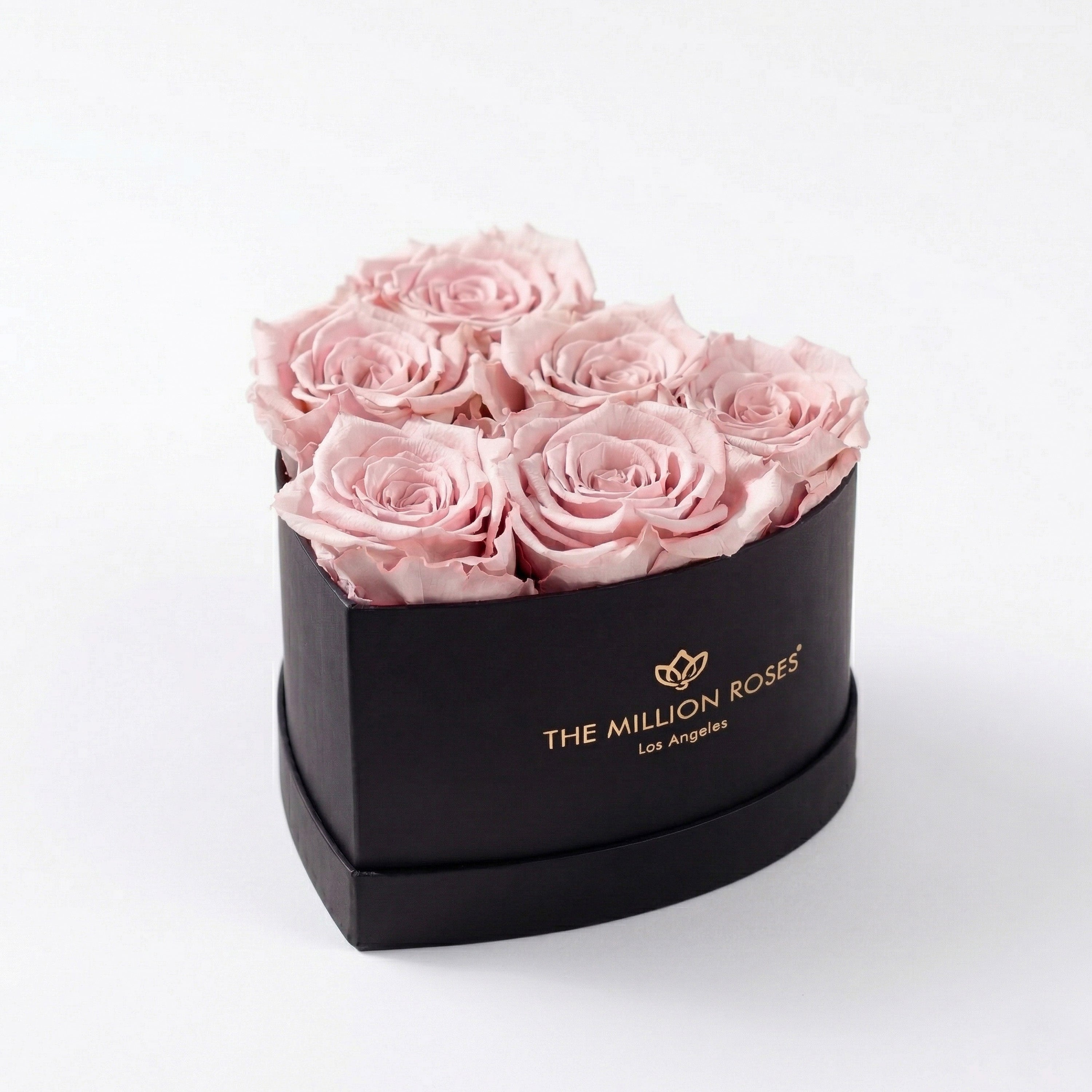Baby Heart Black Box | Light Pink Roses
