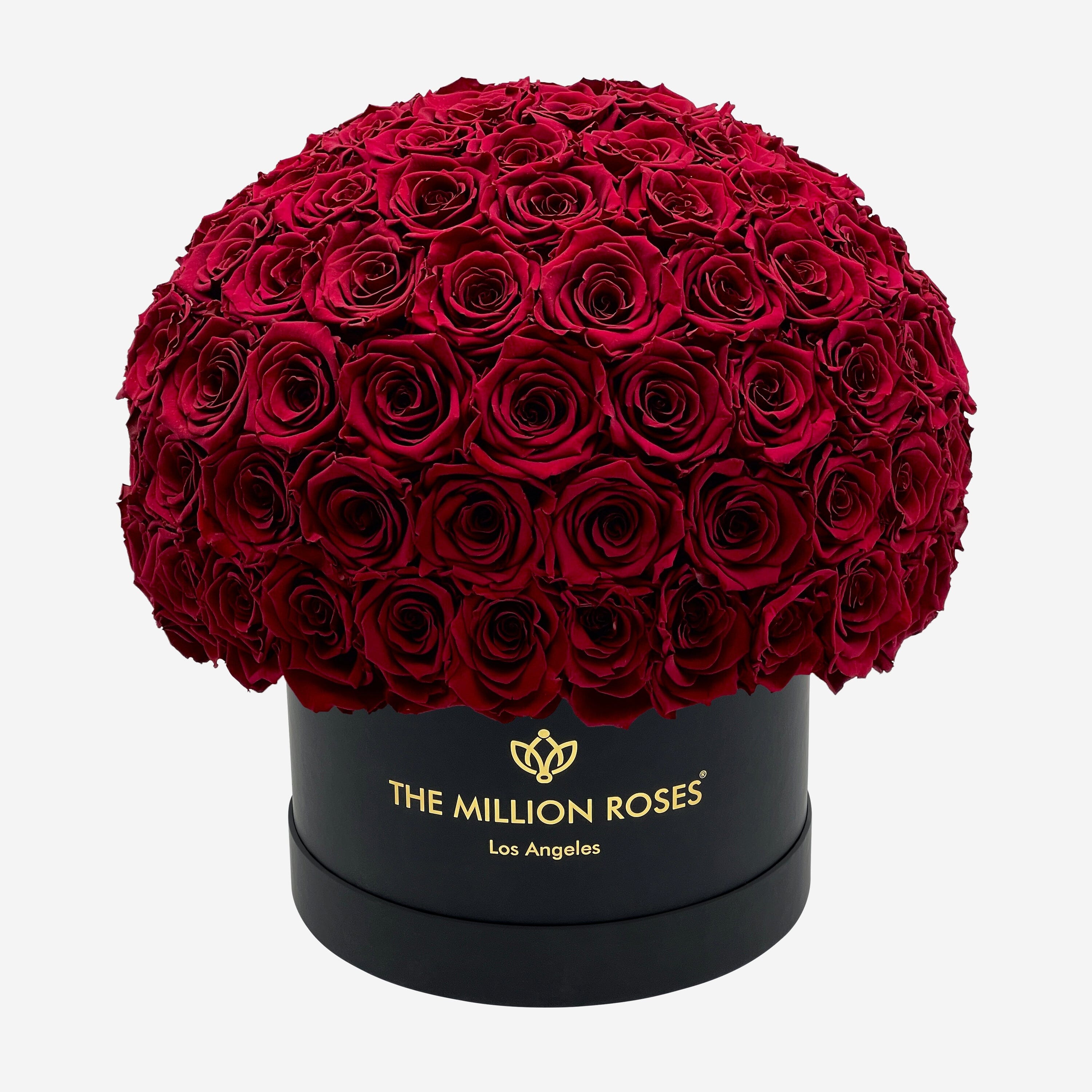 Supreme Black Superdome Box | Burgundy Roses - The Million Roses