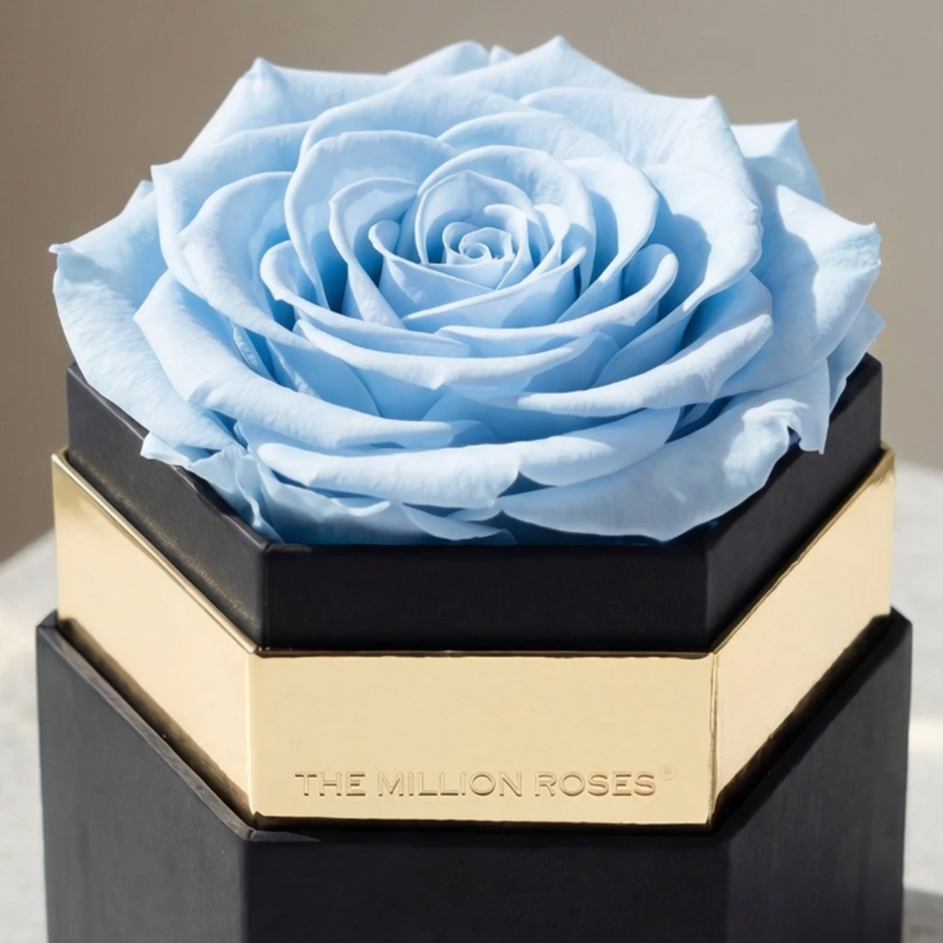 One in a Million™ Black Hexagon Box | Light Blue Rose