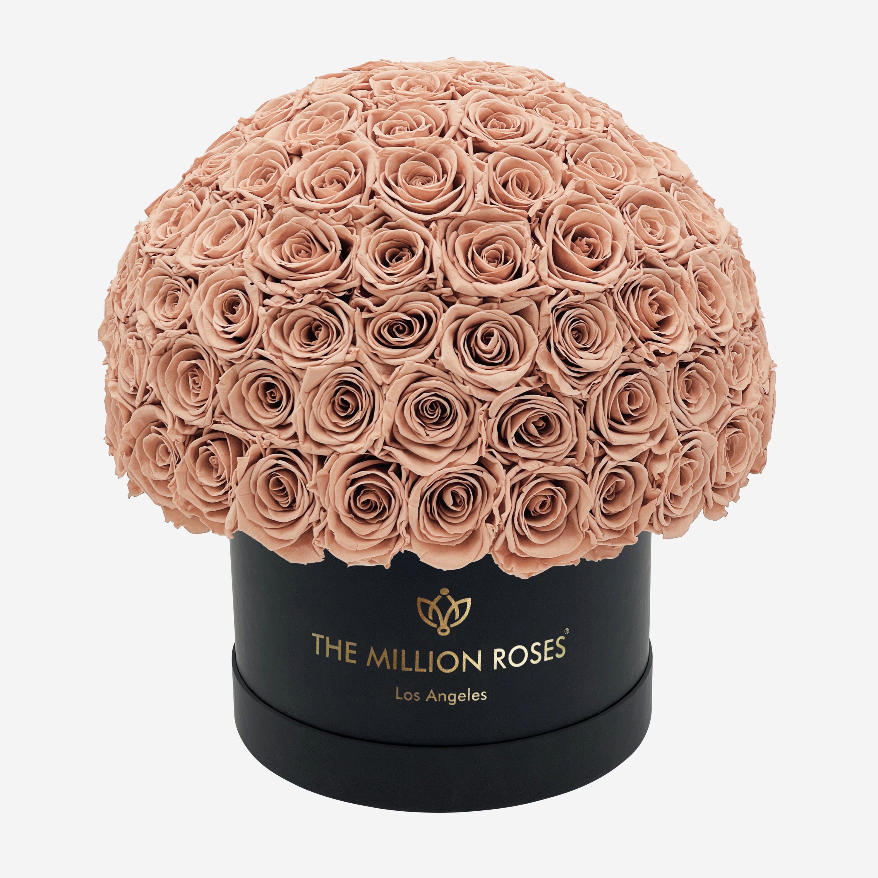 Coffret Superdome Supreme Black | Roses de sable