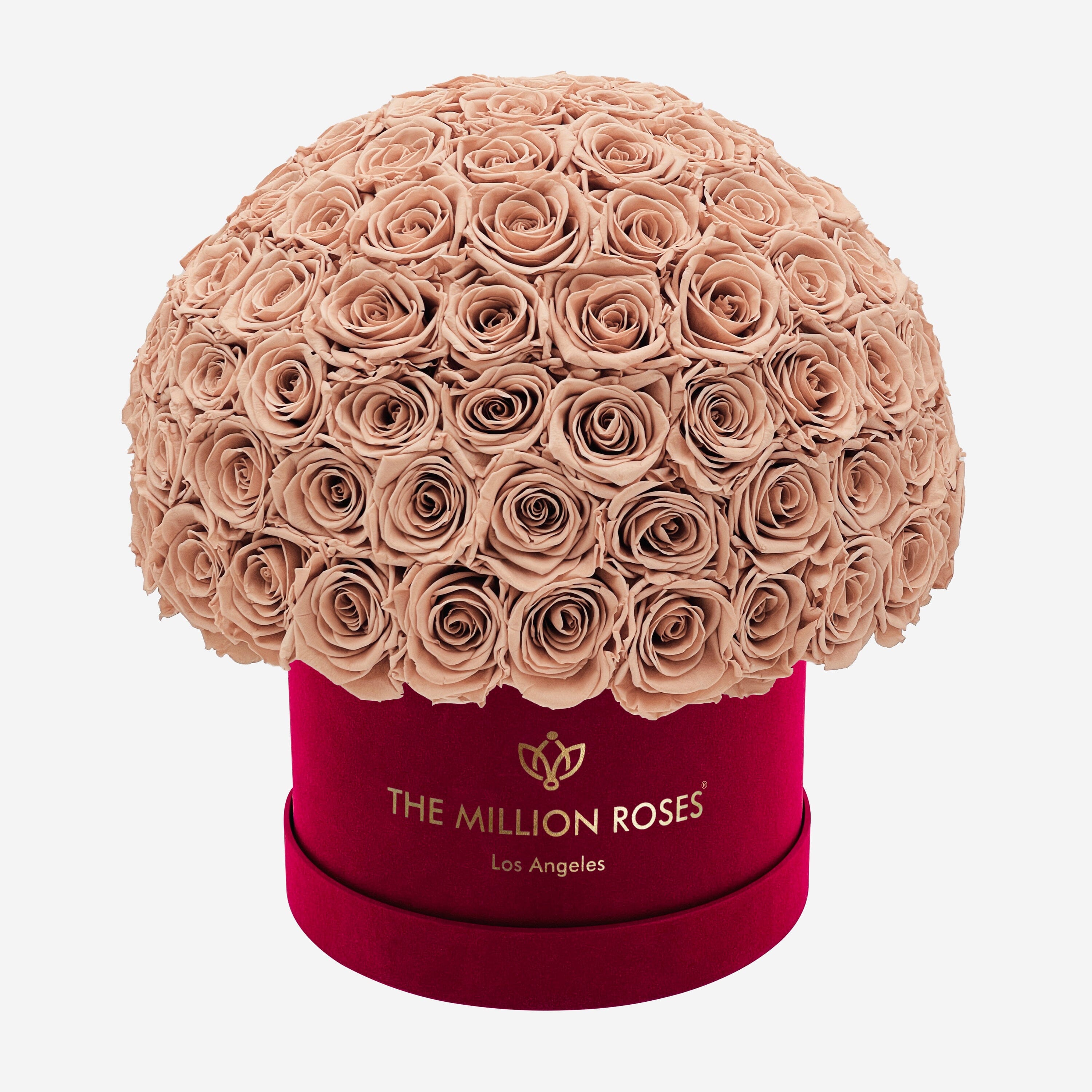 Boîte Superdome Supreme Bordeaux Suede | Roses de sable