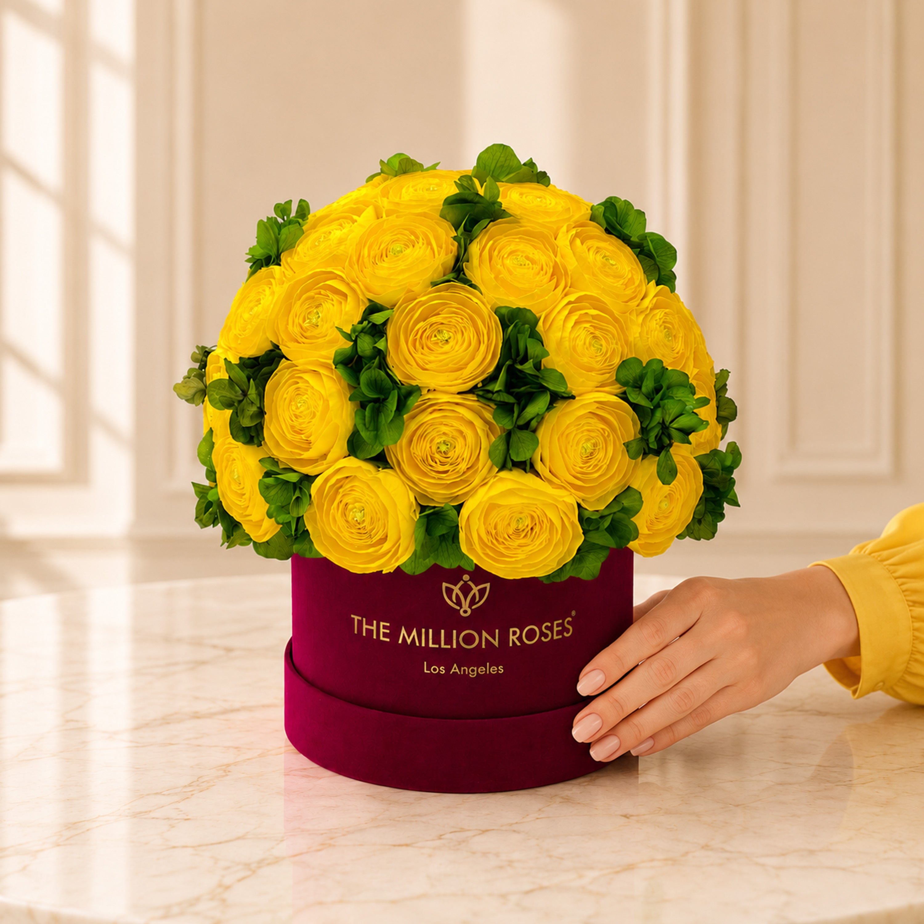Classic Bordeaux Suede Box | Yellow Persian Buttercups & Green Hydrangeas