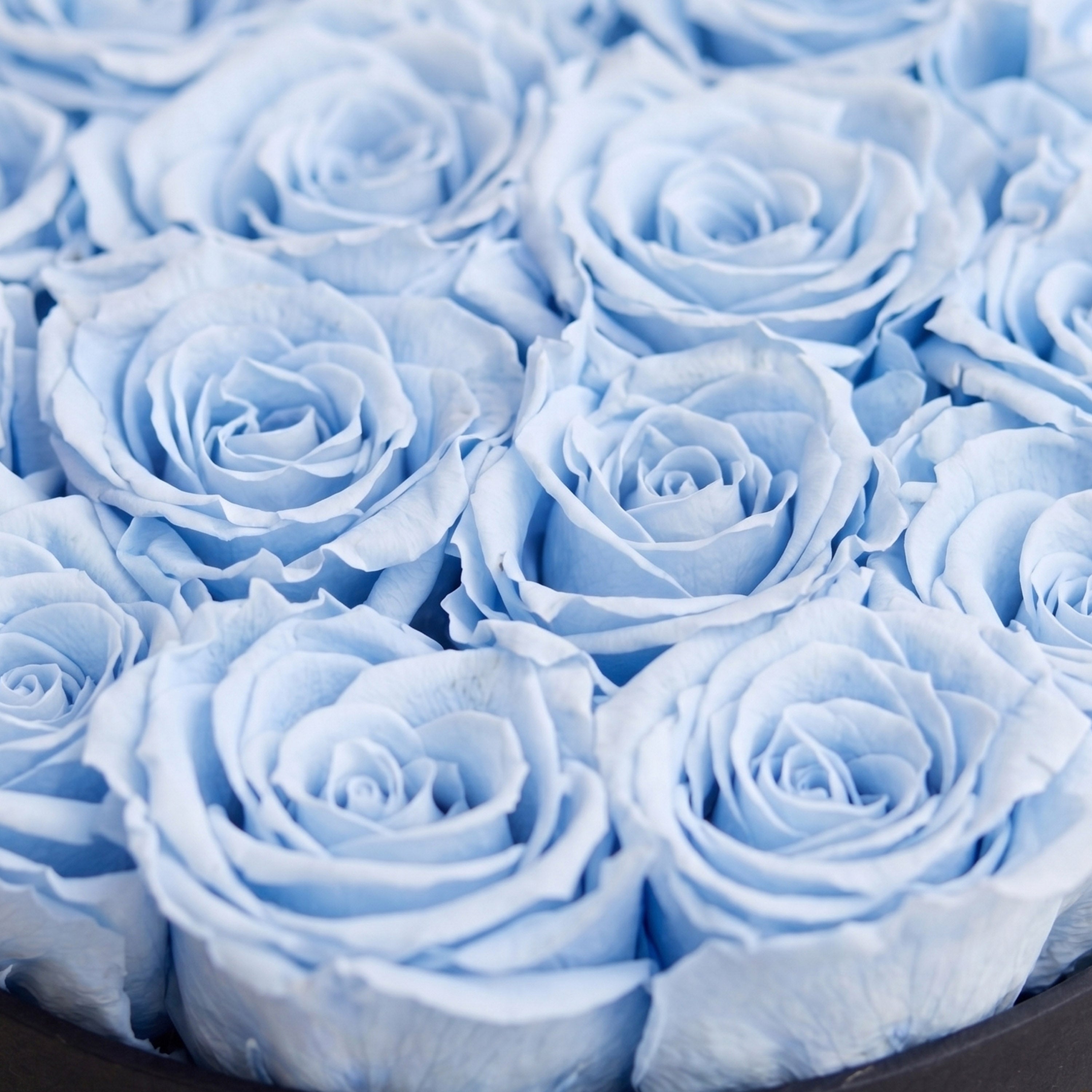 Classic Black Box | Light Blue Roses
