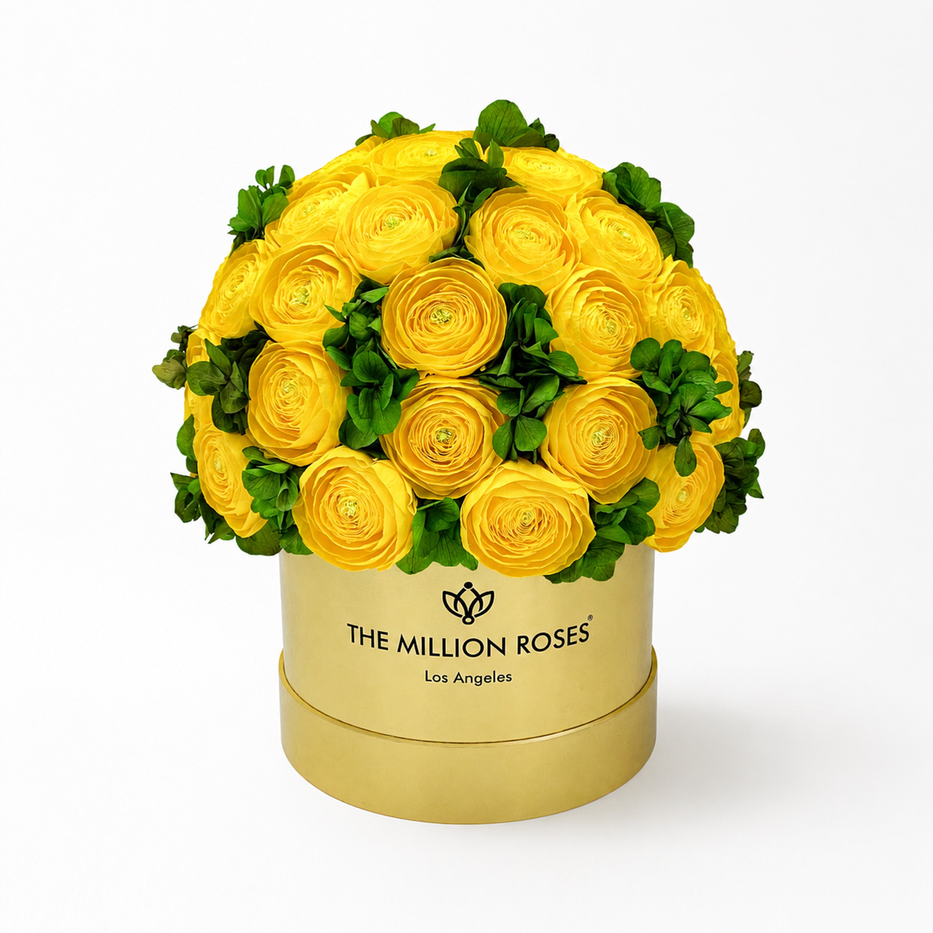 Classic Mirror Gold Box | Yellow Persian Buttercups & Green Hydrangeas