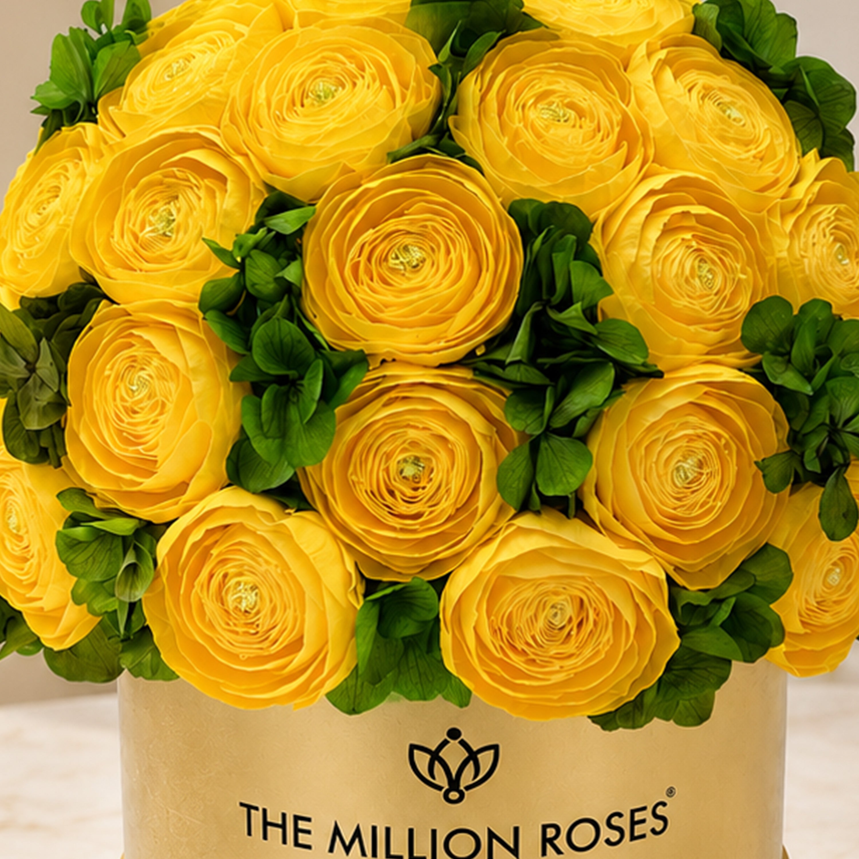 Classic Mirror Gold Box | Yellow Persian Buttercups & Green Hydrangeas