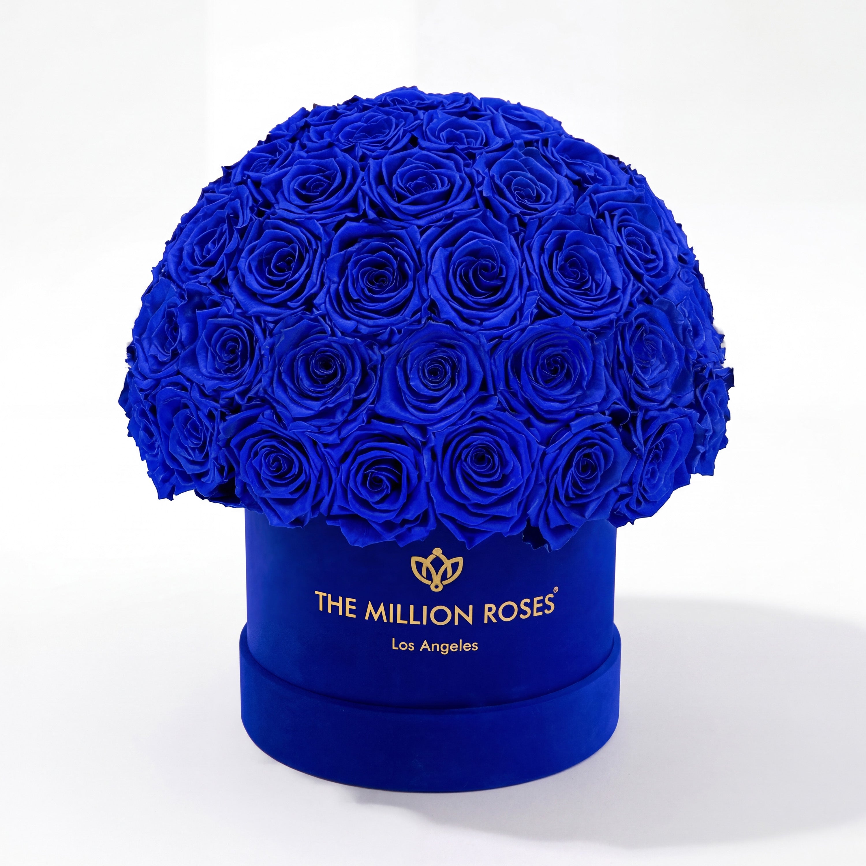 Classic Royal Blue Suede Superdome Box | Royal Blue Roses