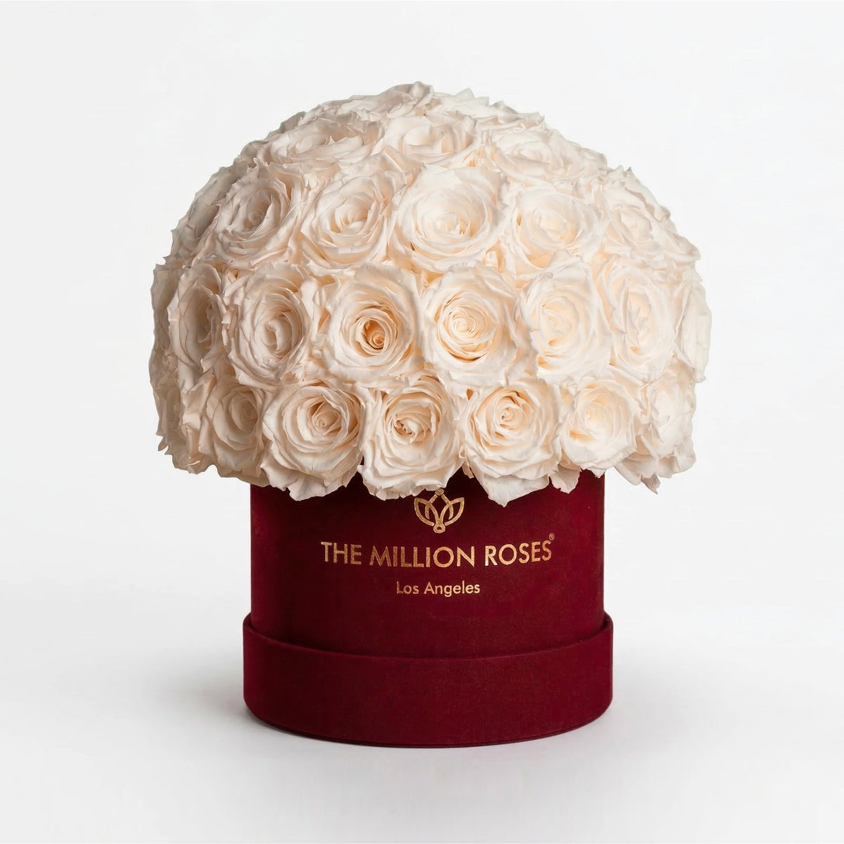 Classic Bordeaux Suede Superdome Box
