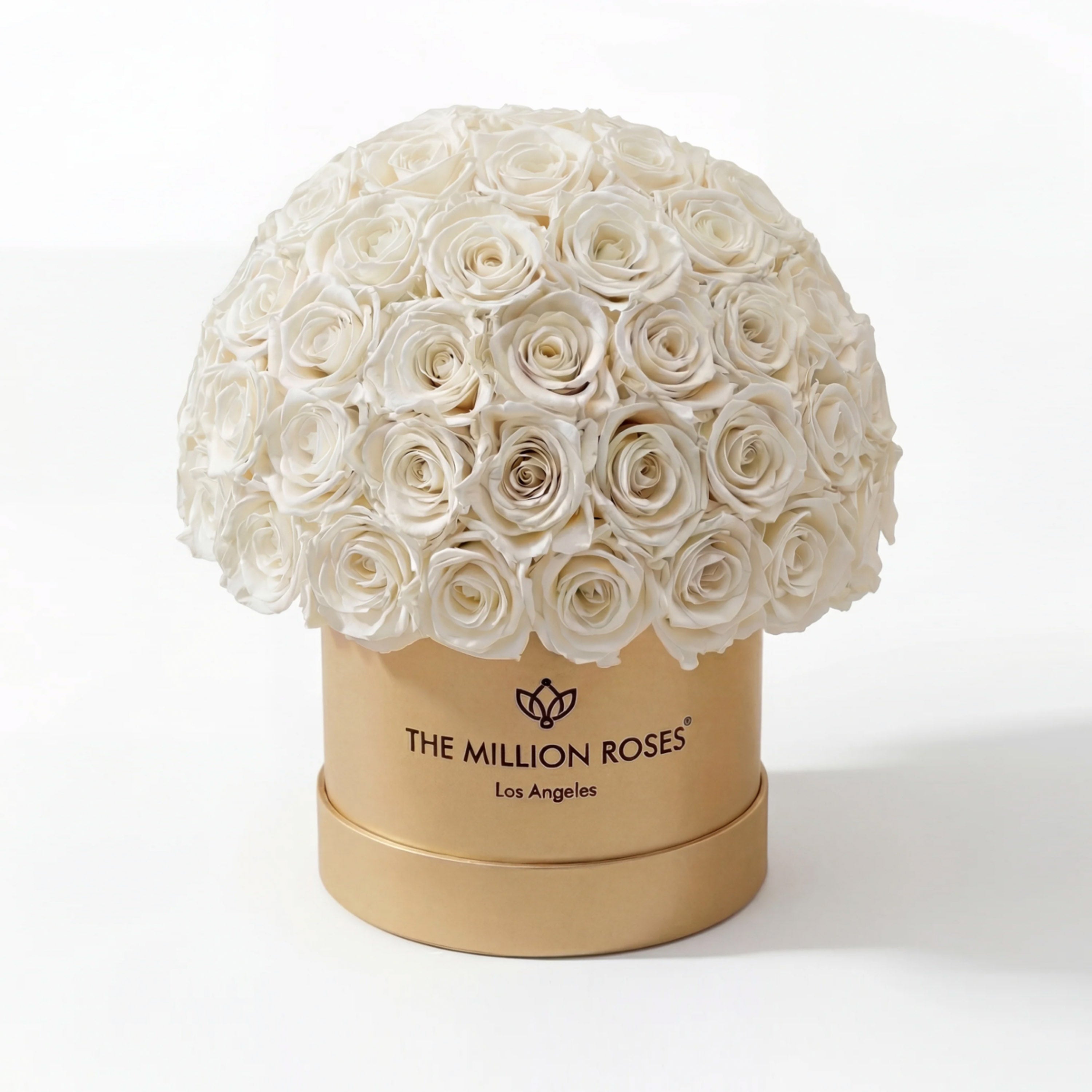 Classic Gold Superdome Box | White Roses