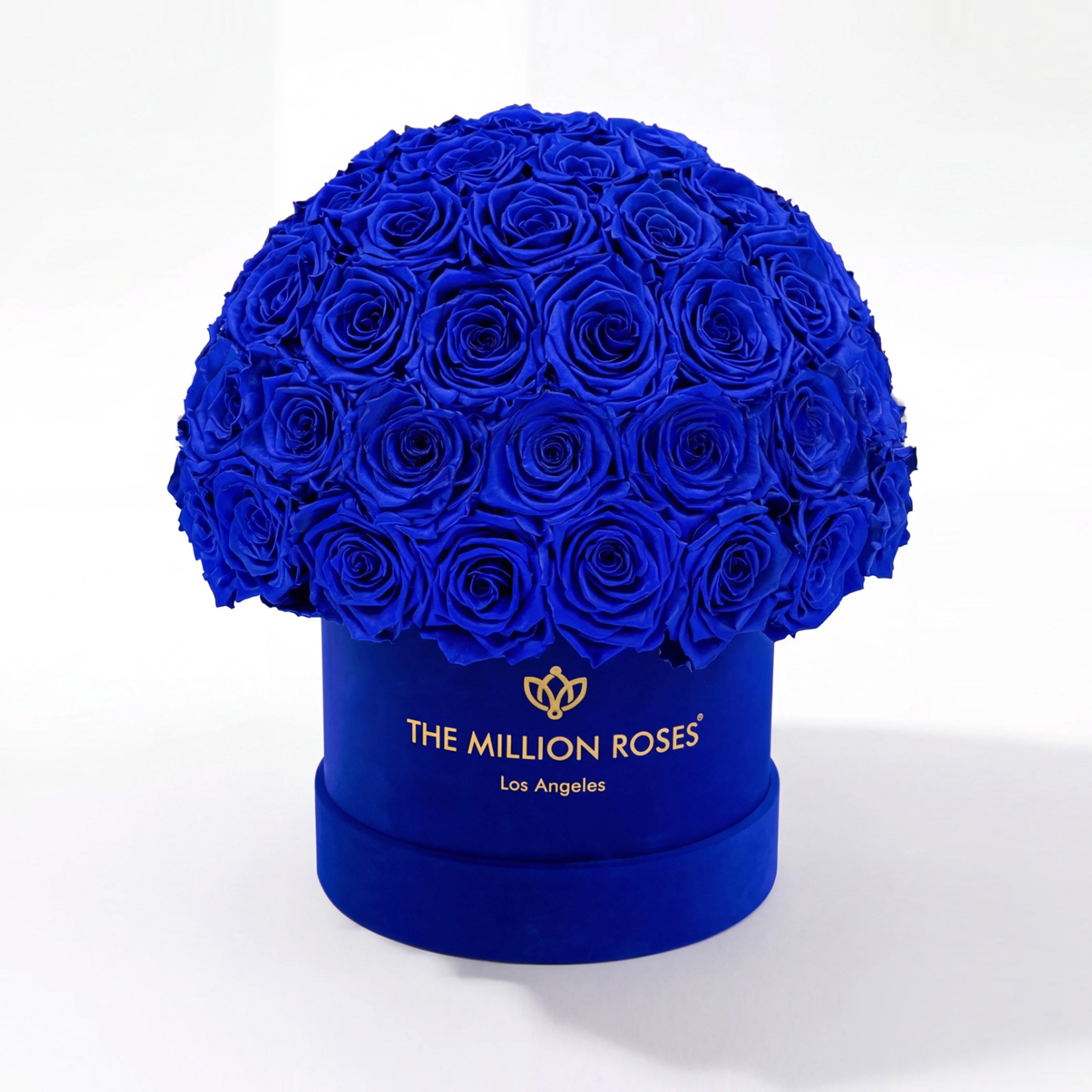 Classic Royal Blue Suede Superdome Box | Royal Blue Roses
