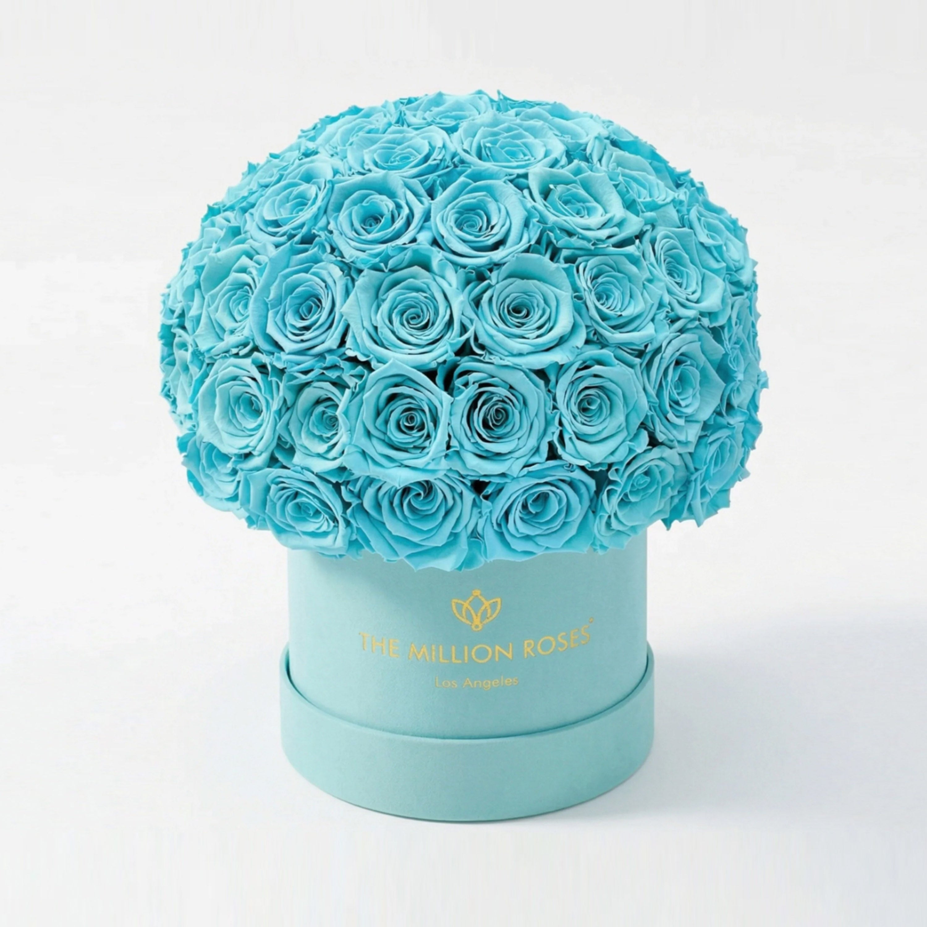 Classic Mint Green Suede Superdome Box | Turquoise Roses