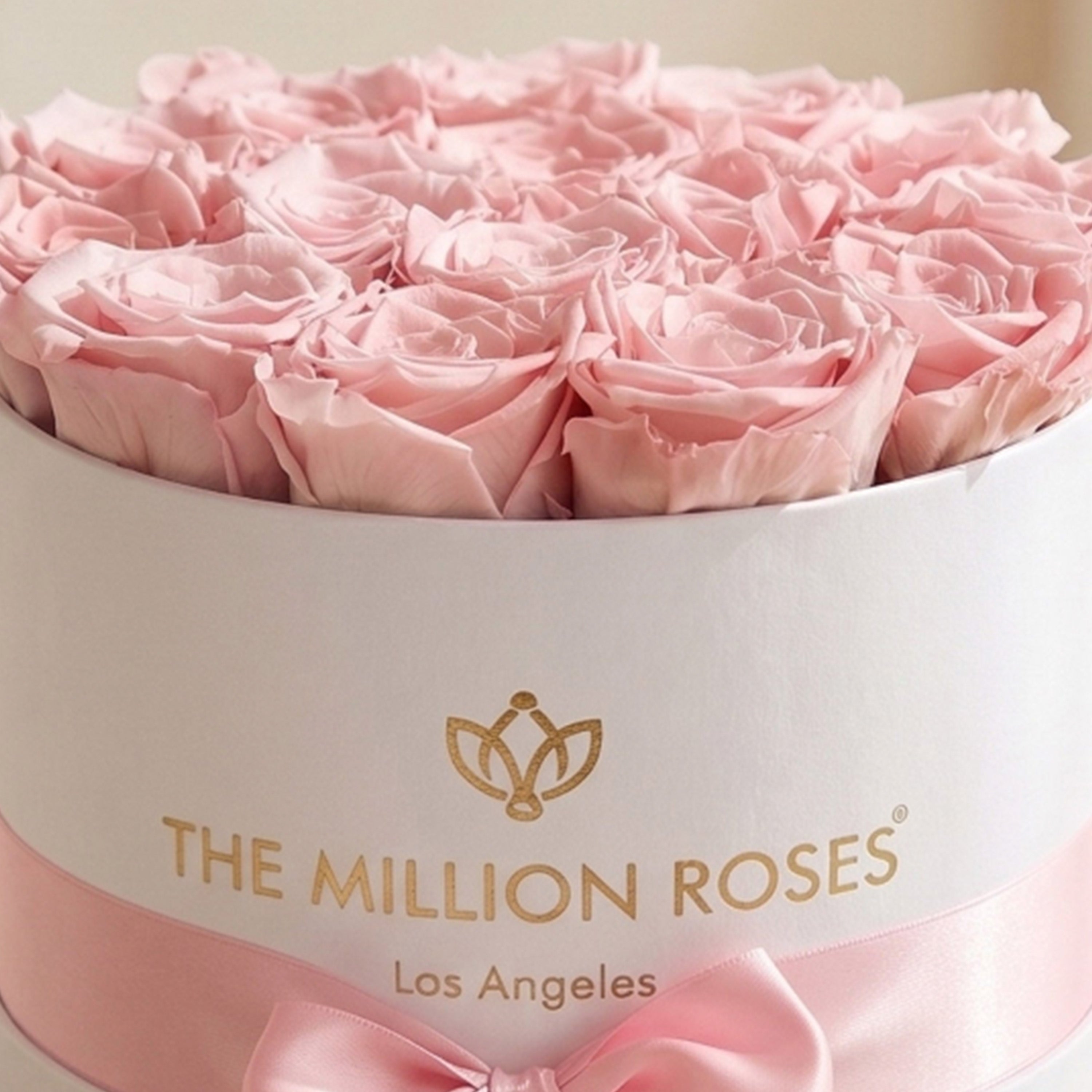 Classic White Box | Light Pink Roses
