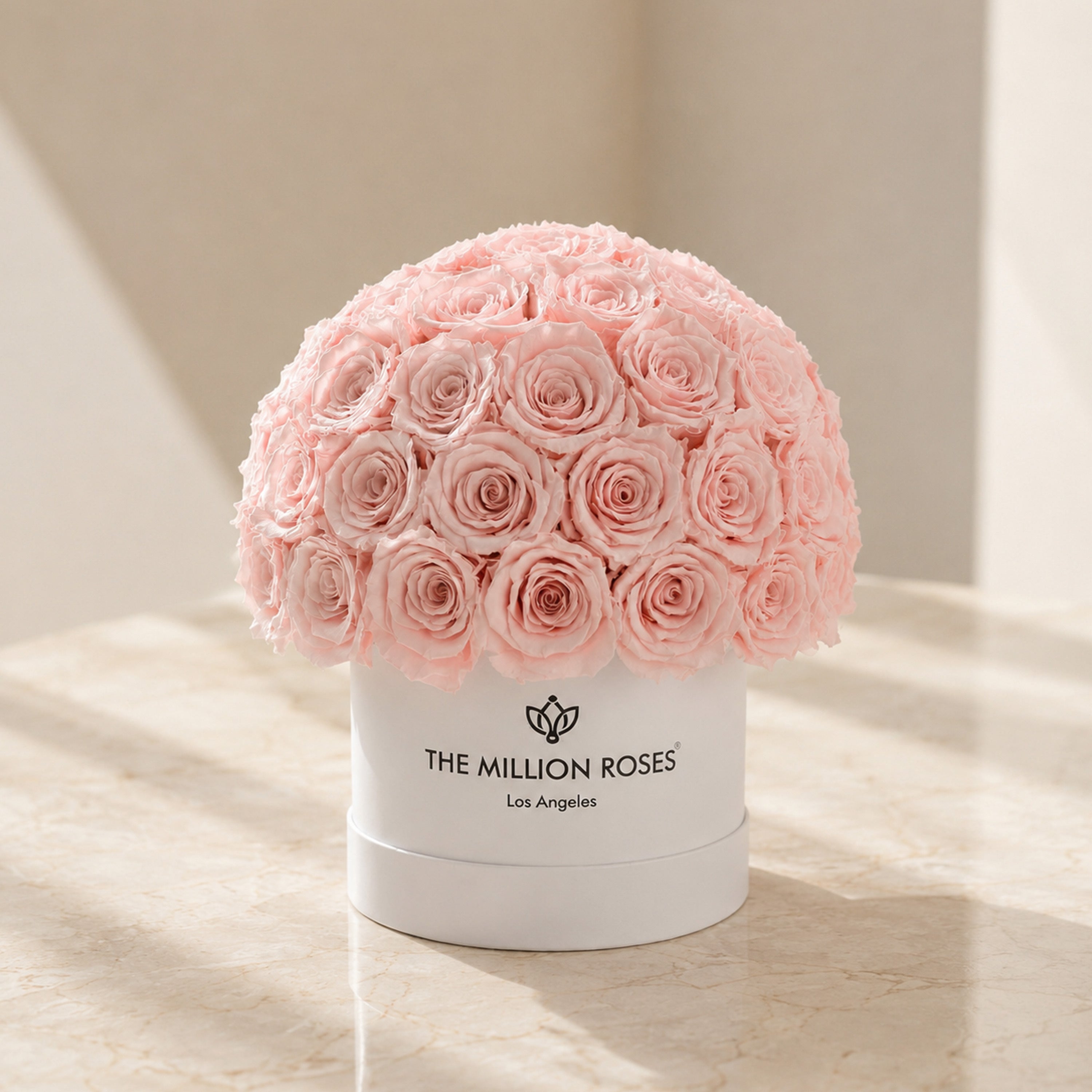 Classic White Superdome Box | Light Pink Roses