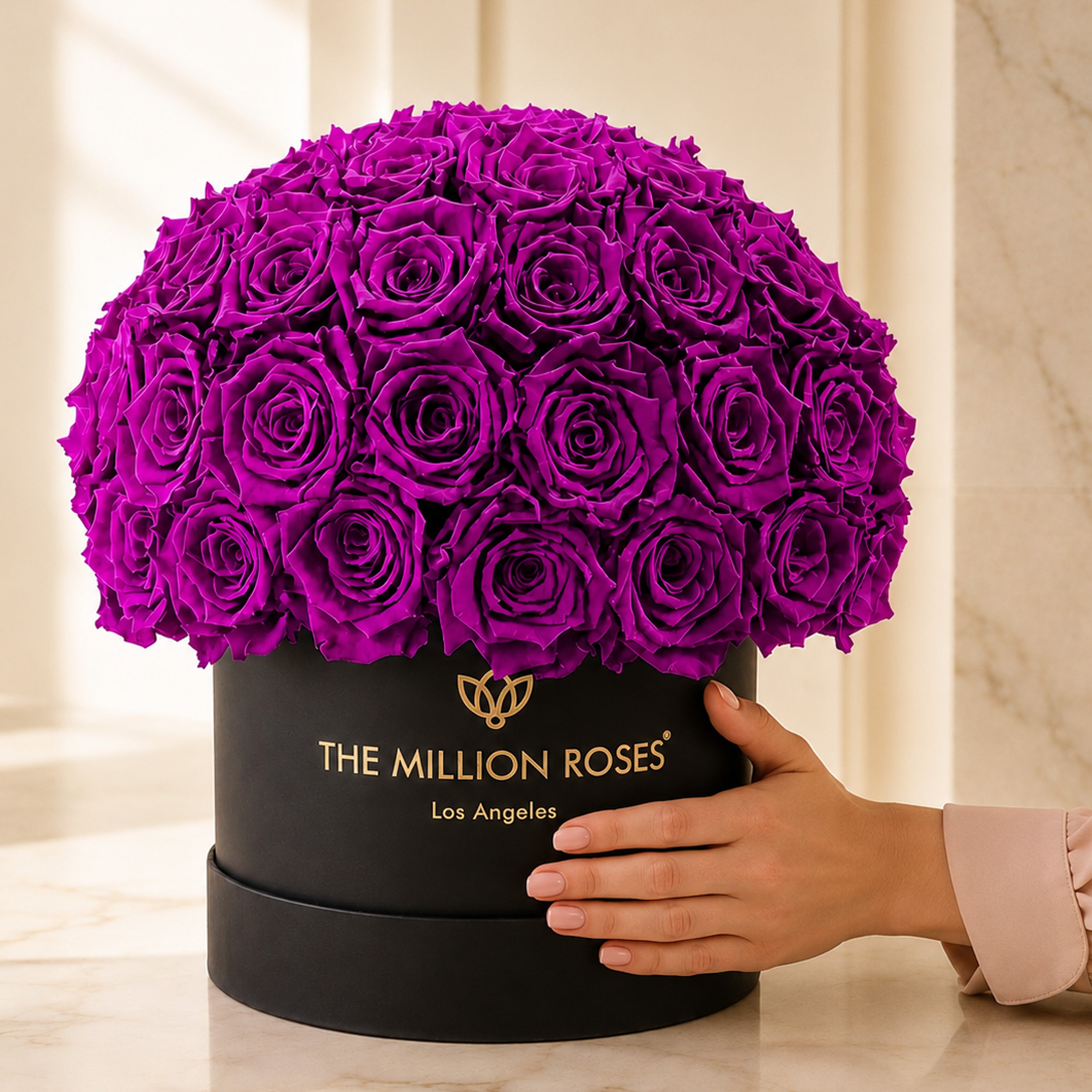 Classic Black Superdome Box | Bright Purple Roses