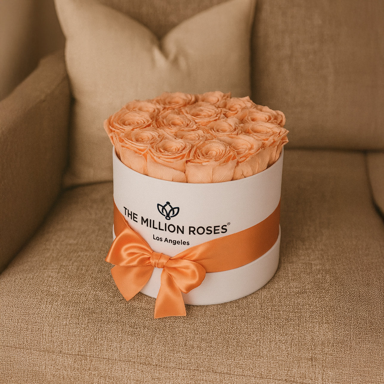 Classic White Box | Peach Roses