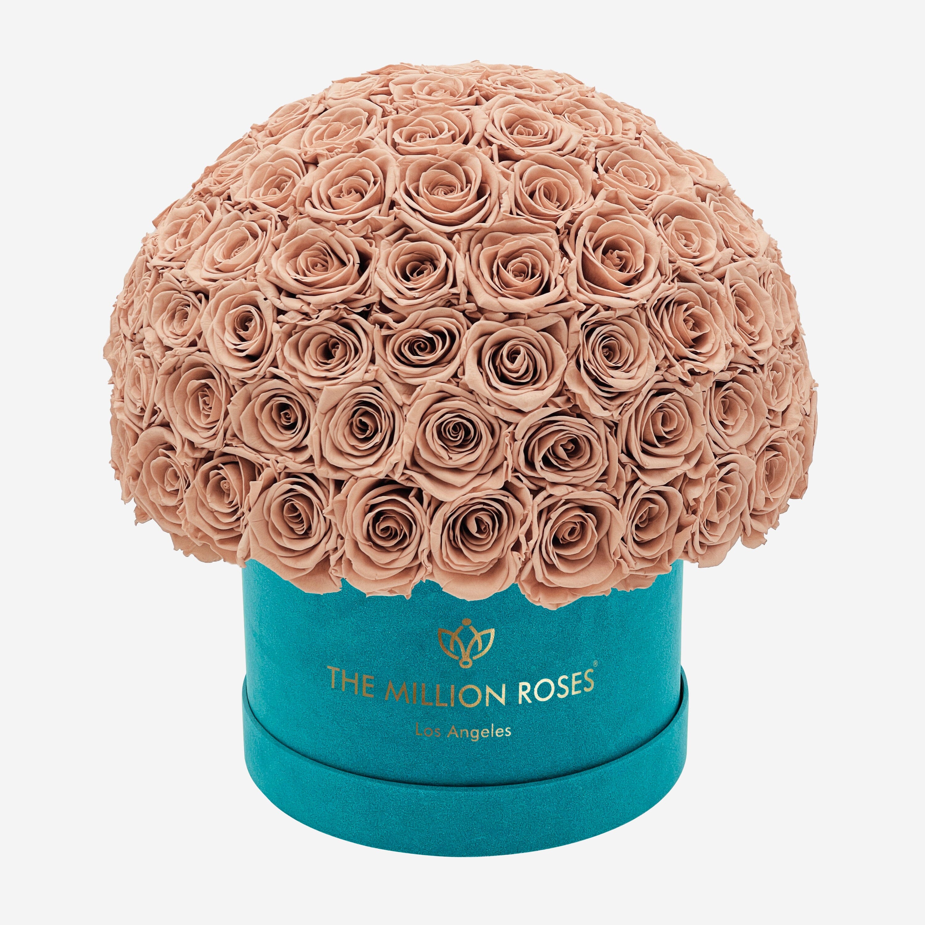 Boîte Superdome en daim vert foncé Supreme | Roses de sable