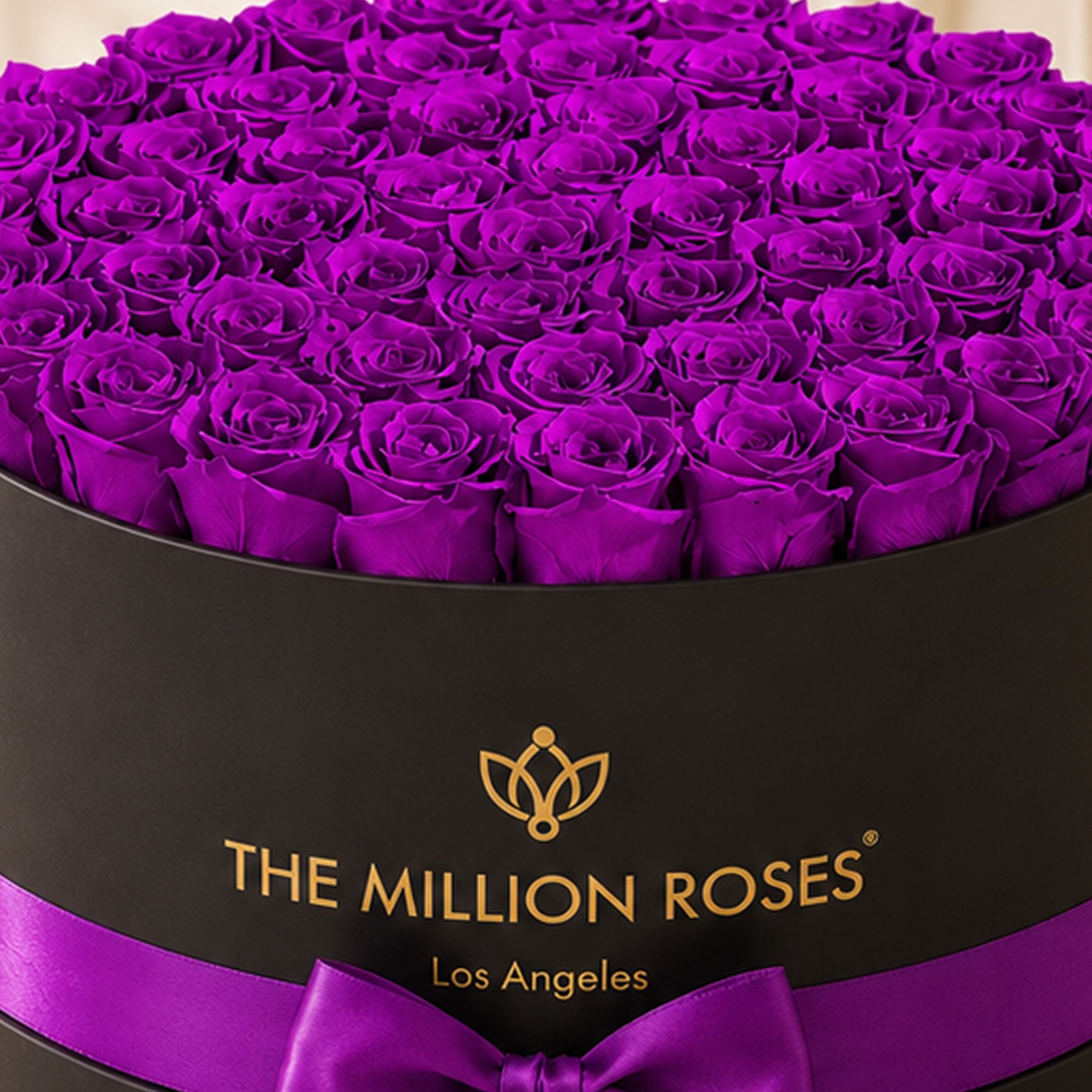 Deluxe Black Box | Bright Purple Roses