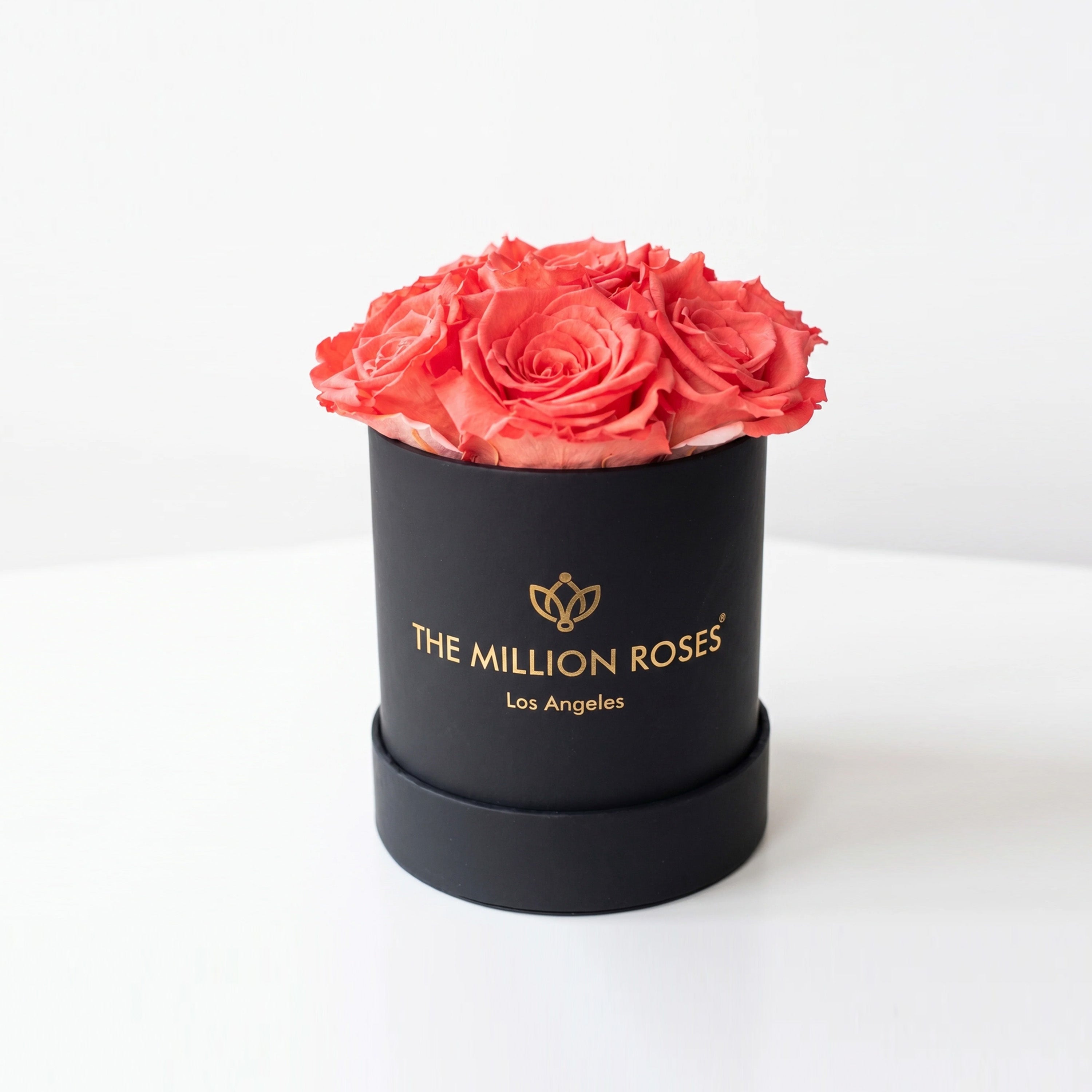 Essence Black Box | Coral Roses