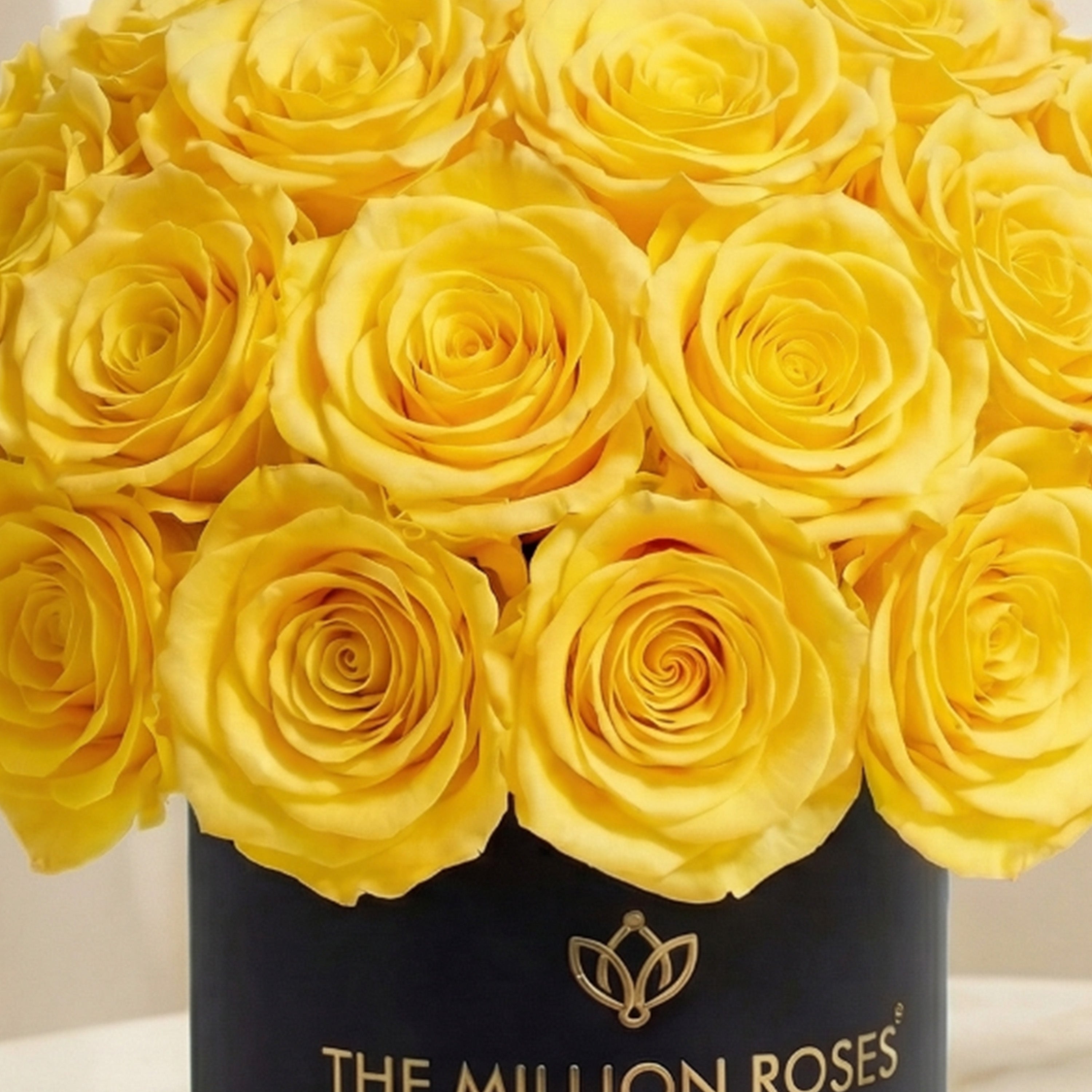 Essence Black Superdome Box | Yellow Roses