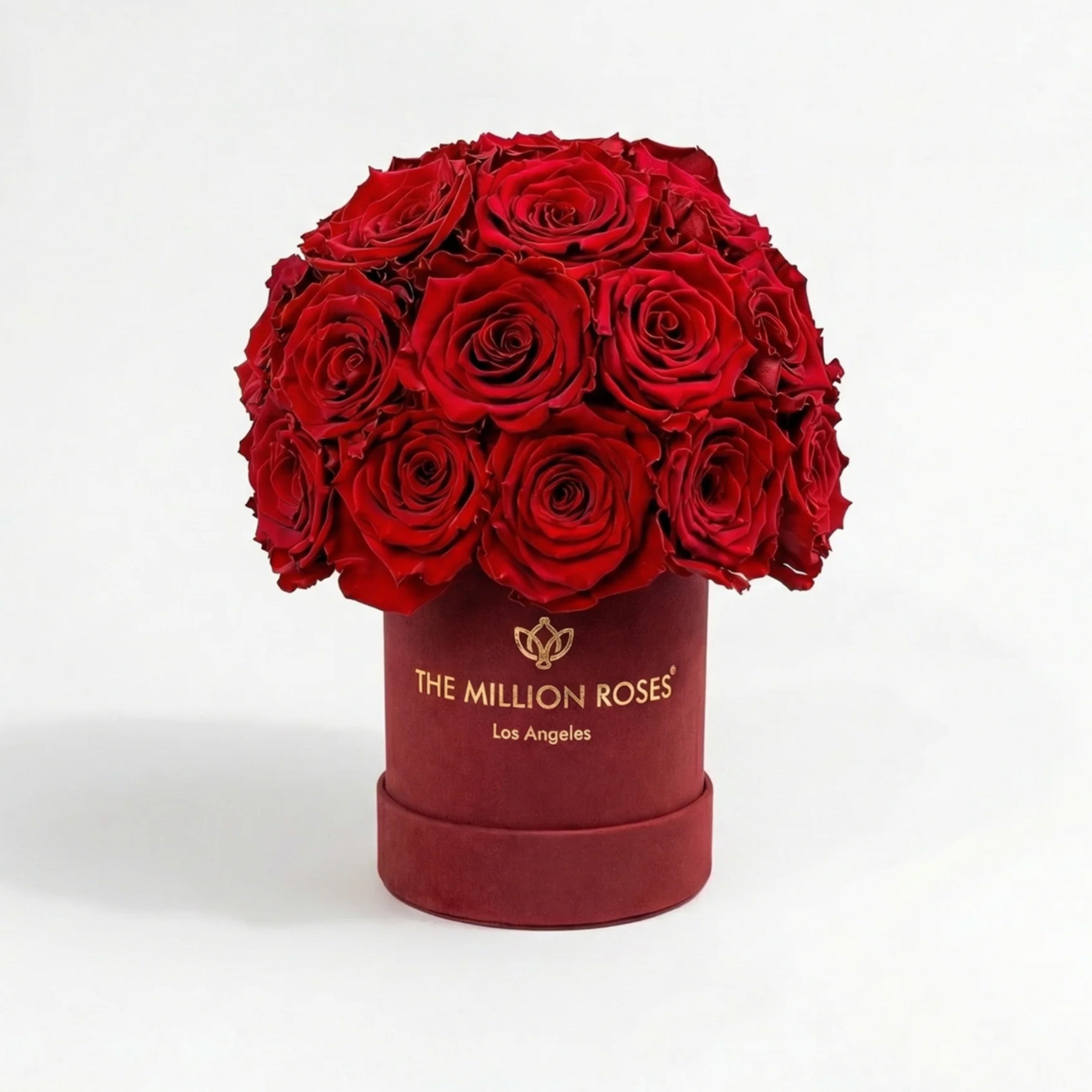 essence_burgundy_superdome_box