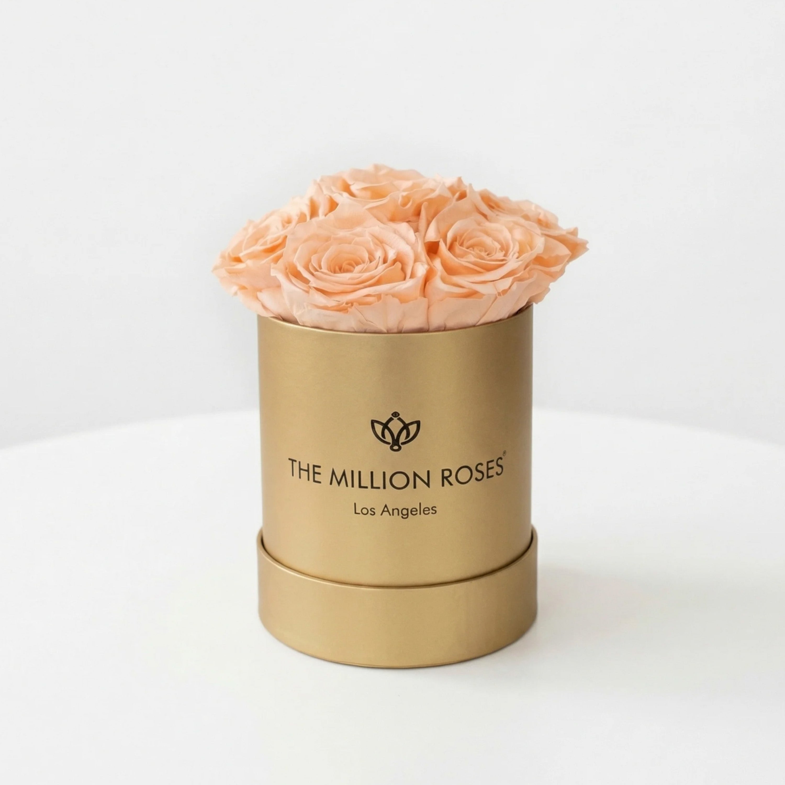 Essence Gold Box | Peach Roses