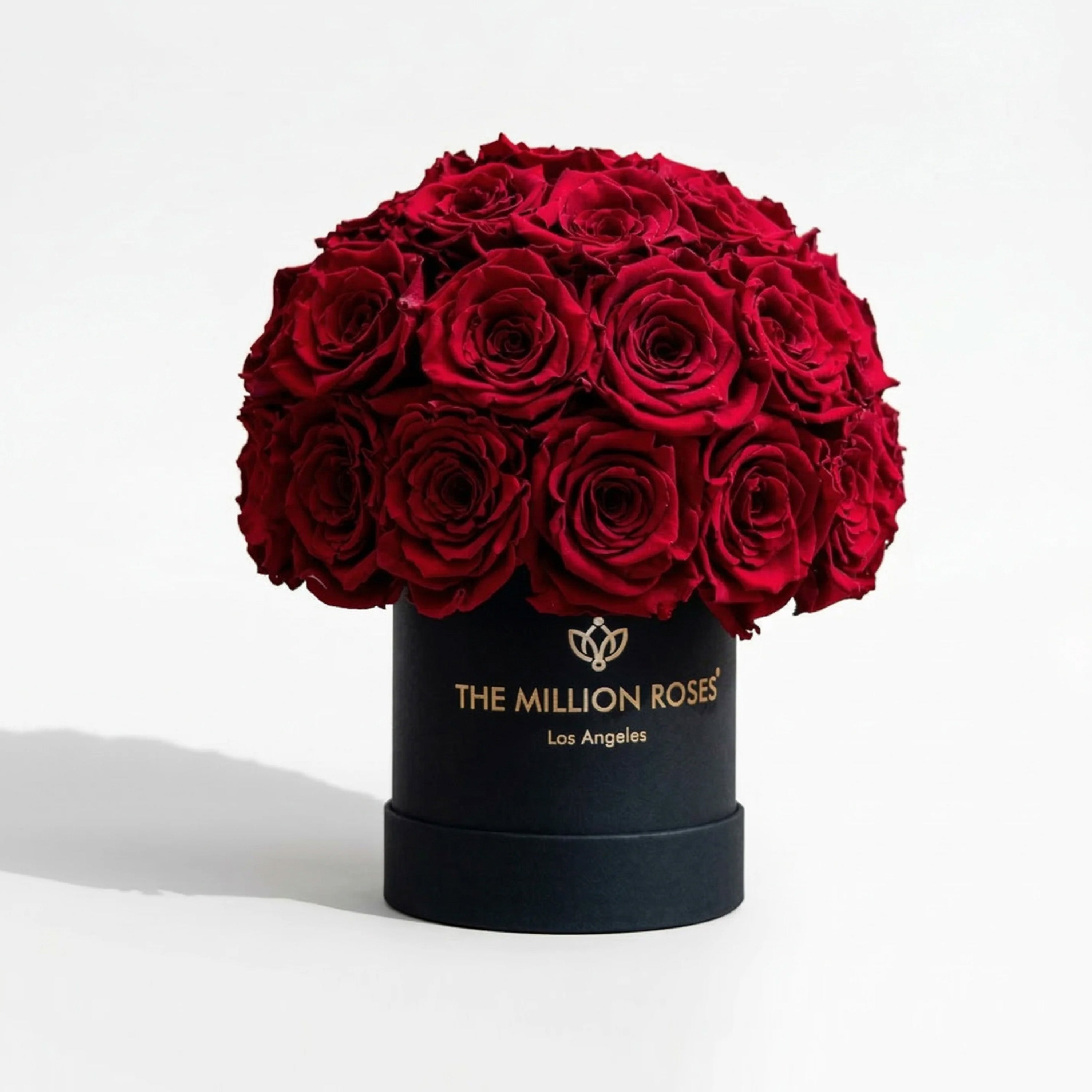 essence_superdome_black_box_re