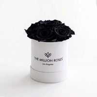 Essence White Box | Black Roses