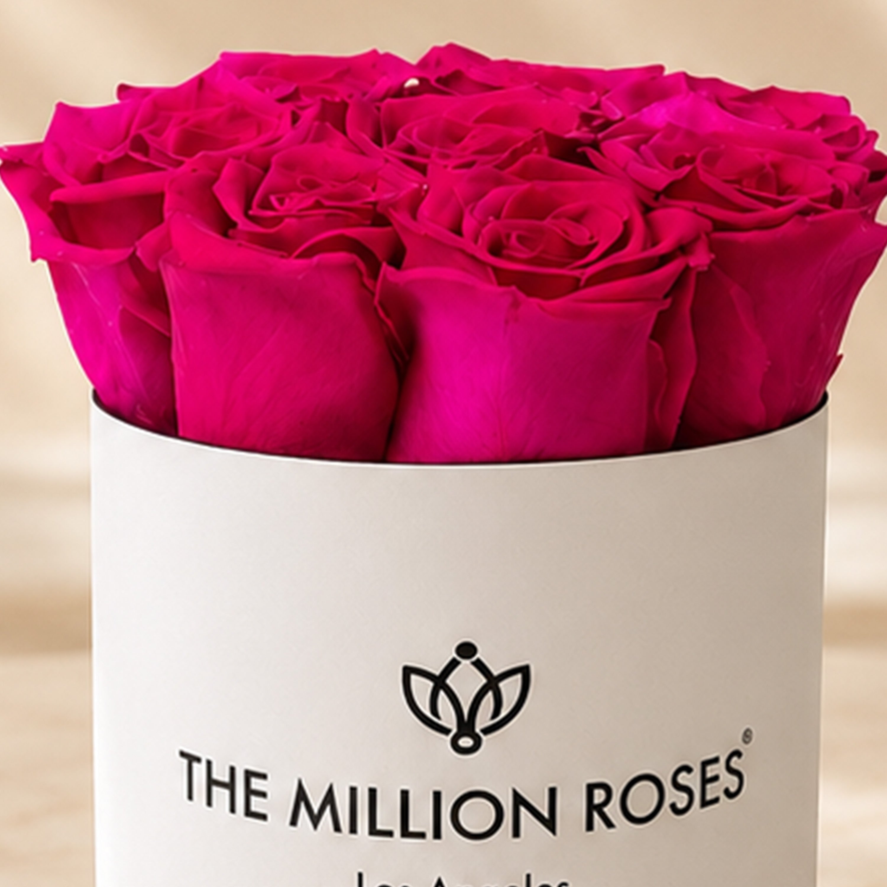 Essence White Box | Magenta Roses