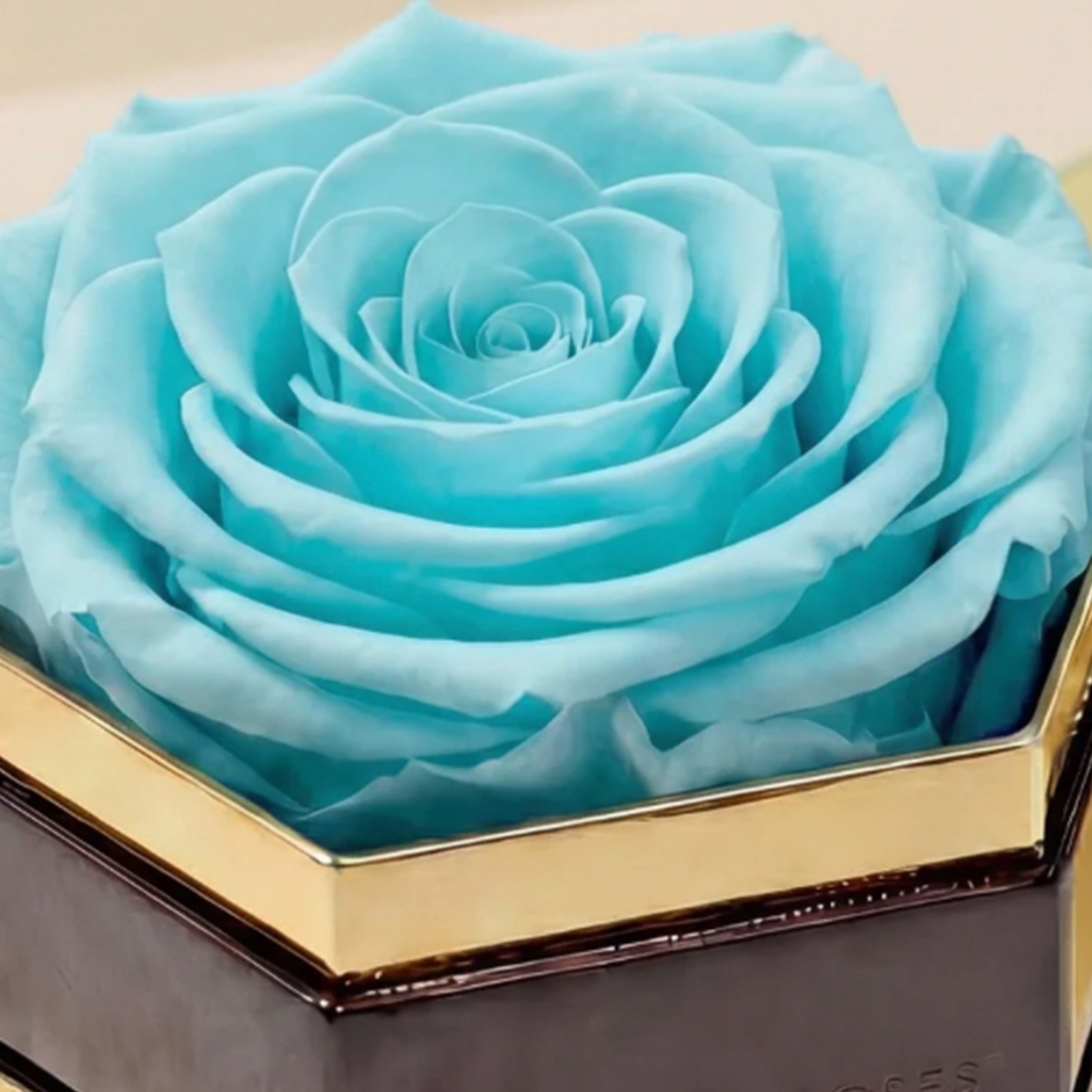 One in a Million™ Mirror Gold Hexagon Box | Turquoise Rose