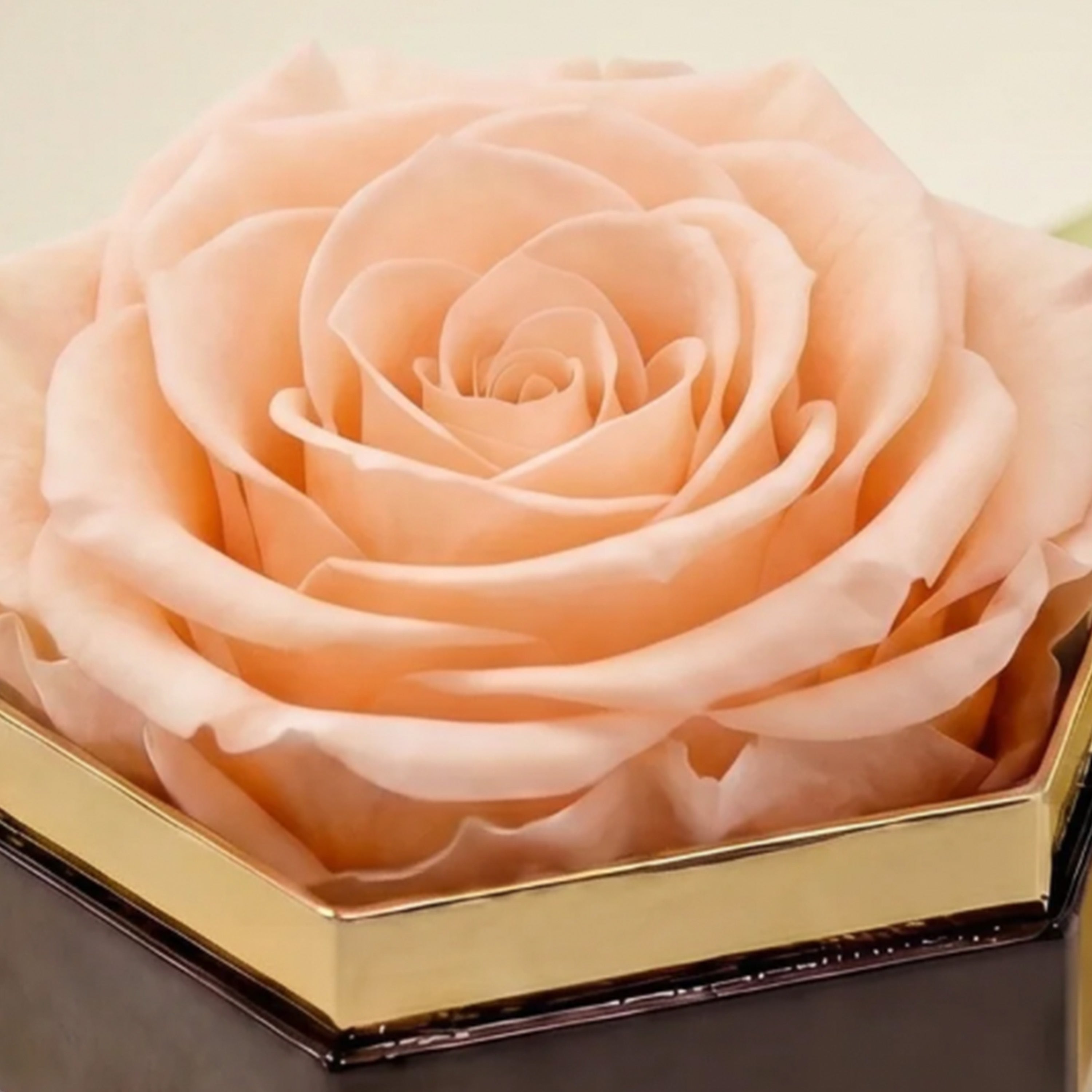 One in a Million™ Mirror Gold Hexagon Box | Peach Rose