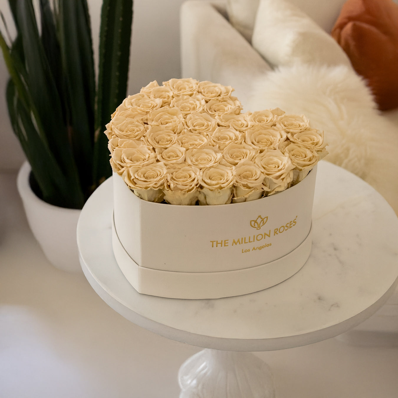 Heart Beige Box | Sand Roses