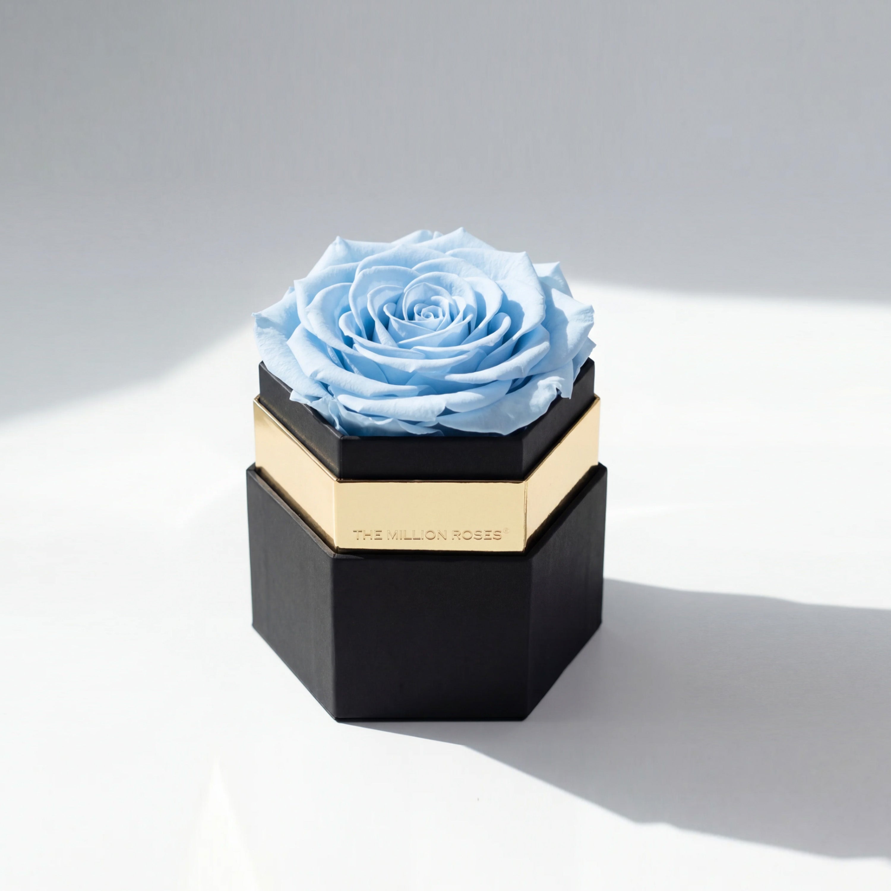 One in a Million™ Black Hexagon Box | Light Blue Rose