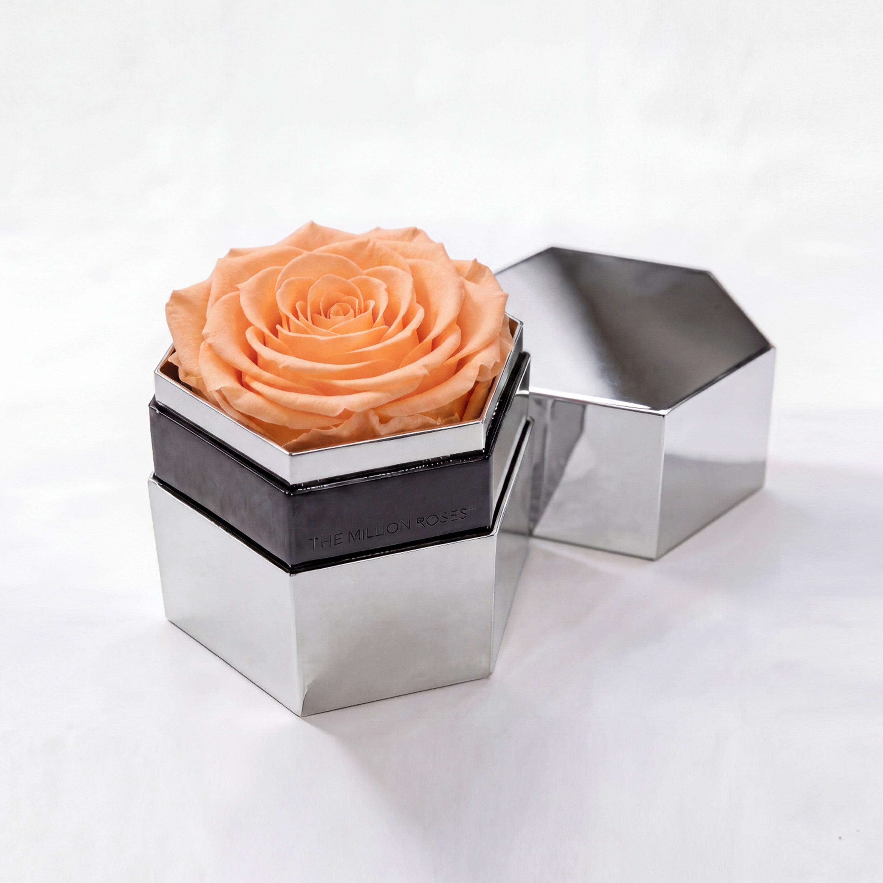One in a Million™ Mirror Silver Hexagon Box | Peach Rose