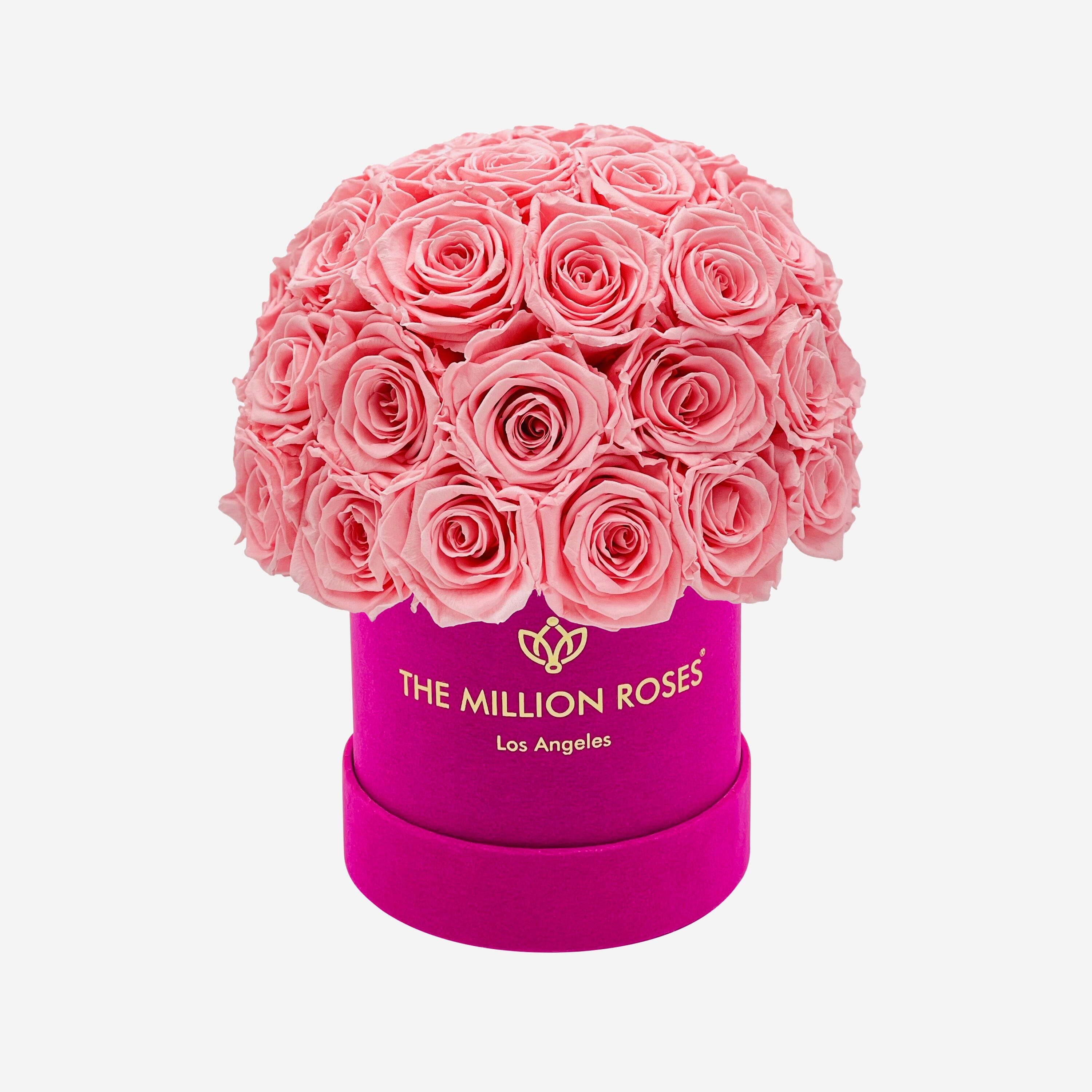 Basic Hot Pink Suede Superdome Box | Light Pink Roses - The Million Roses