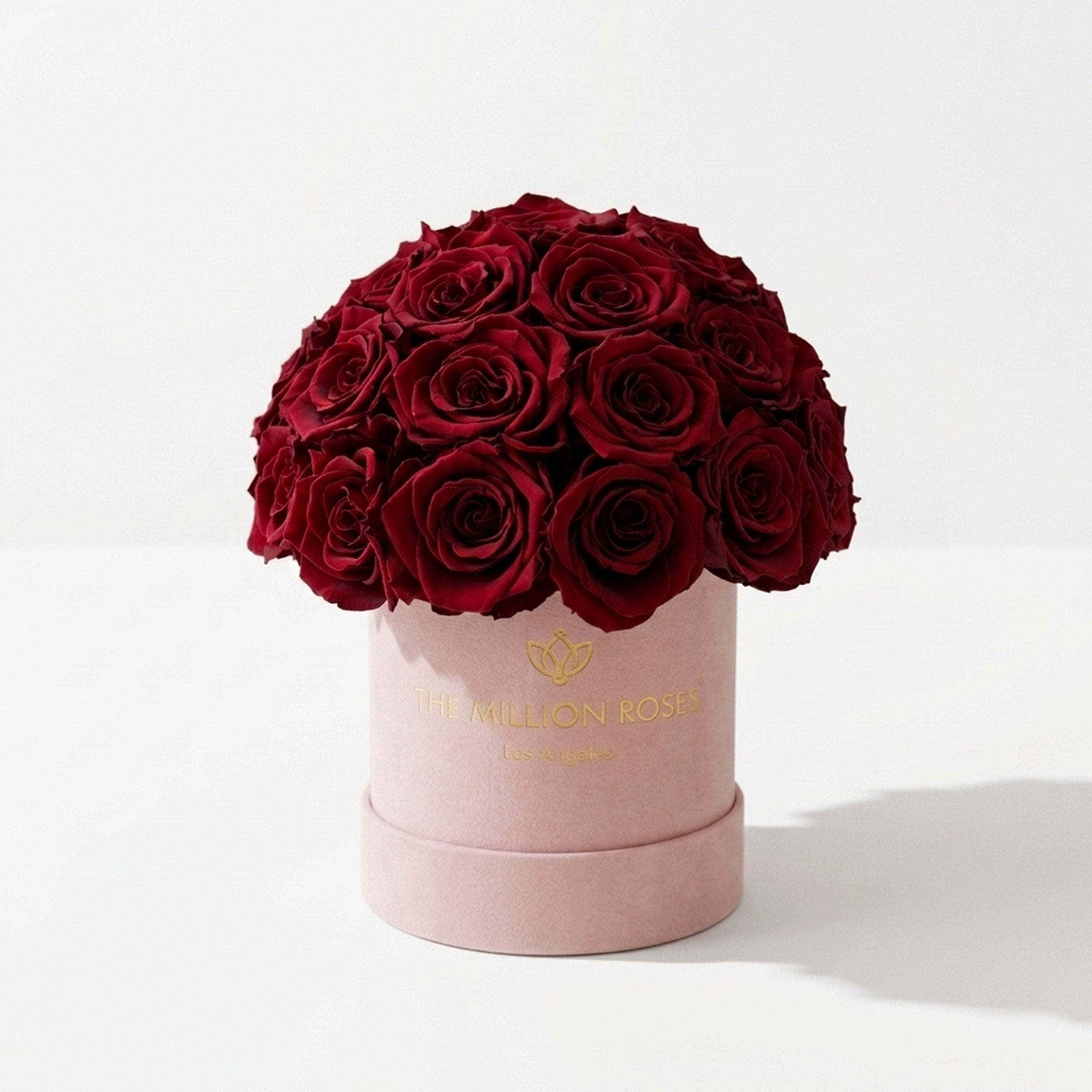 Basic Light Pink Suede Superdome Box | Burgundy Roses